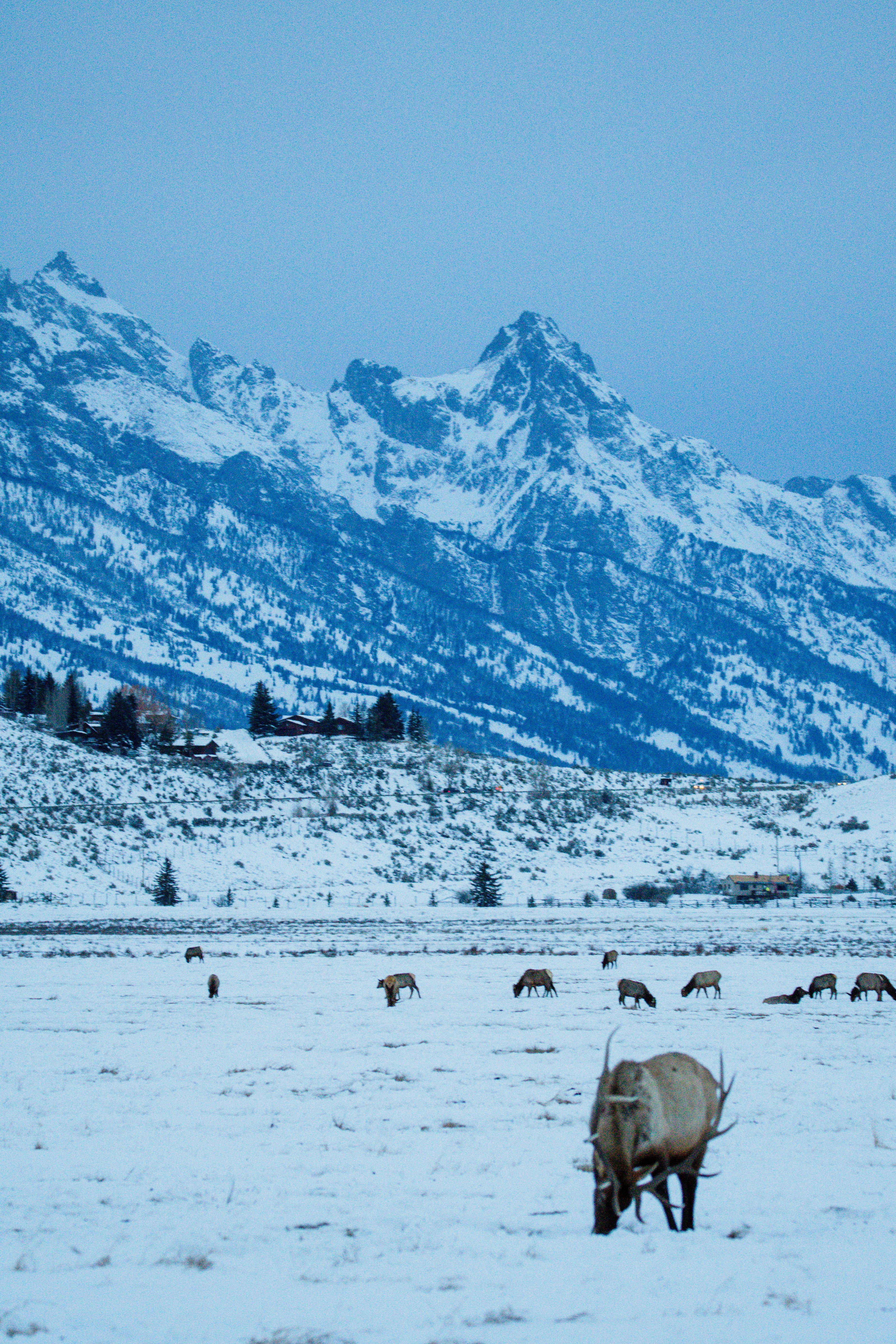 Photo by jackcharles