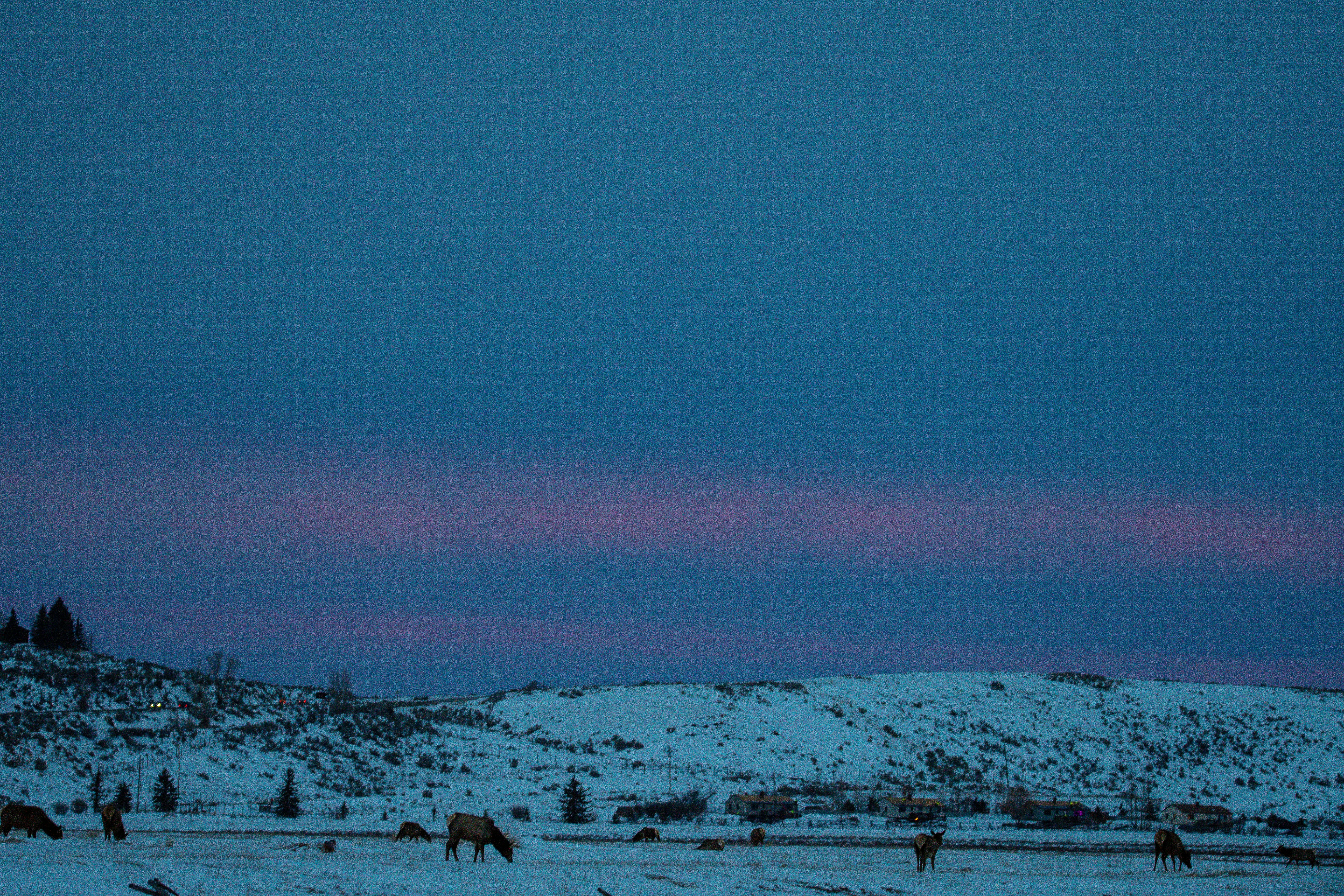 Photo by jackcharles