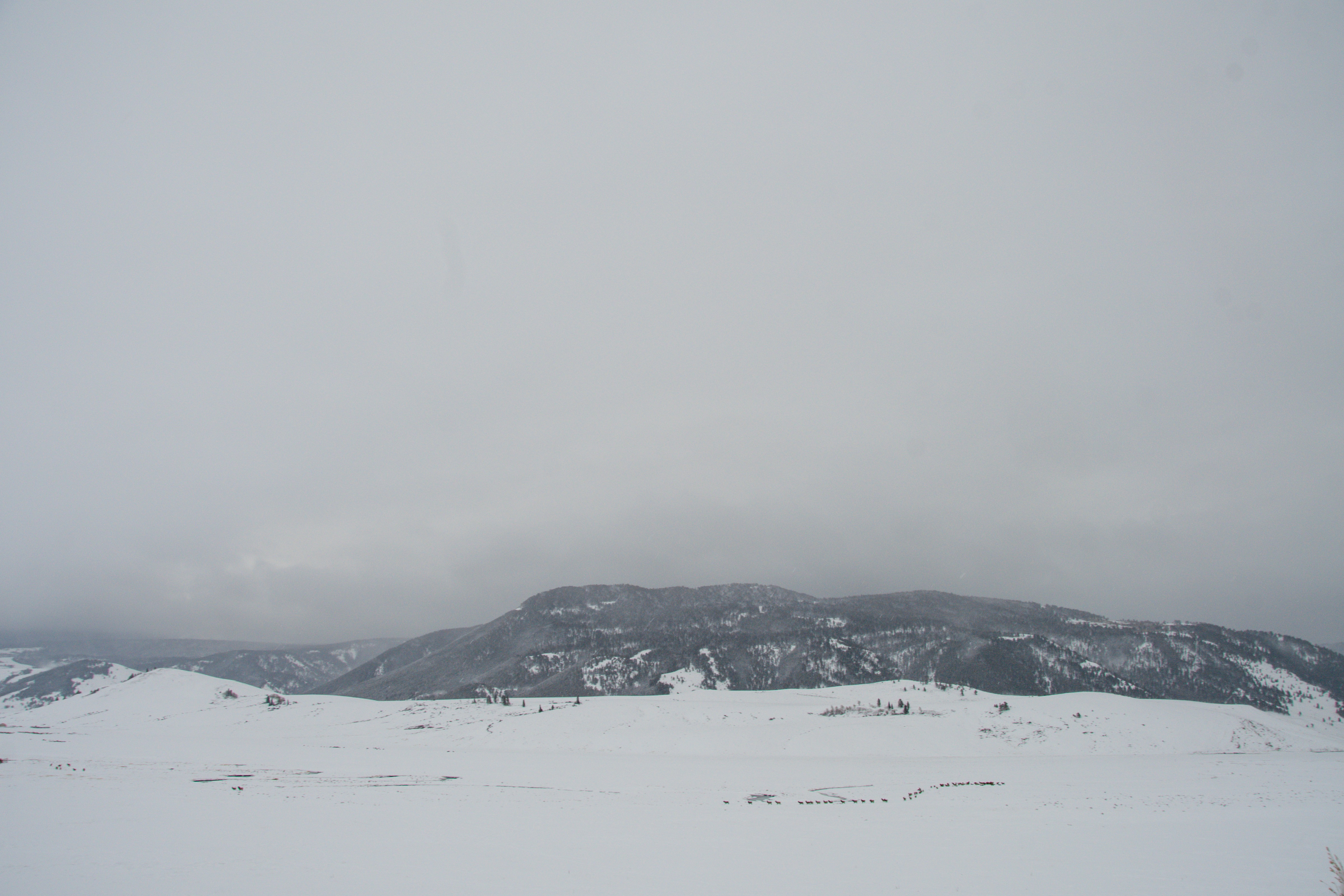 Photo by jackcharles