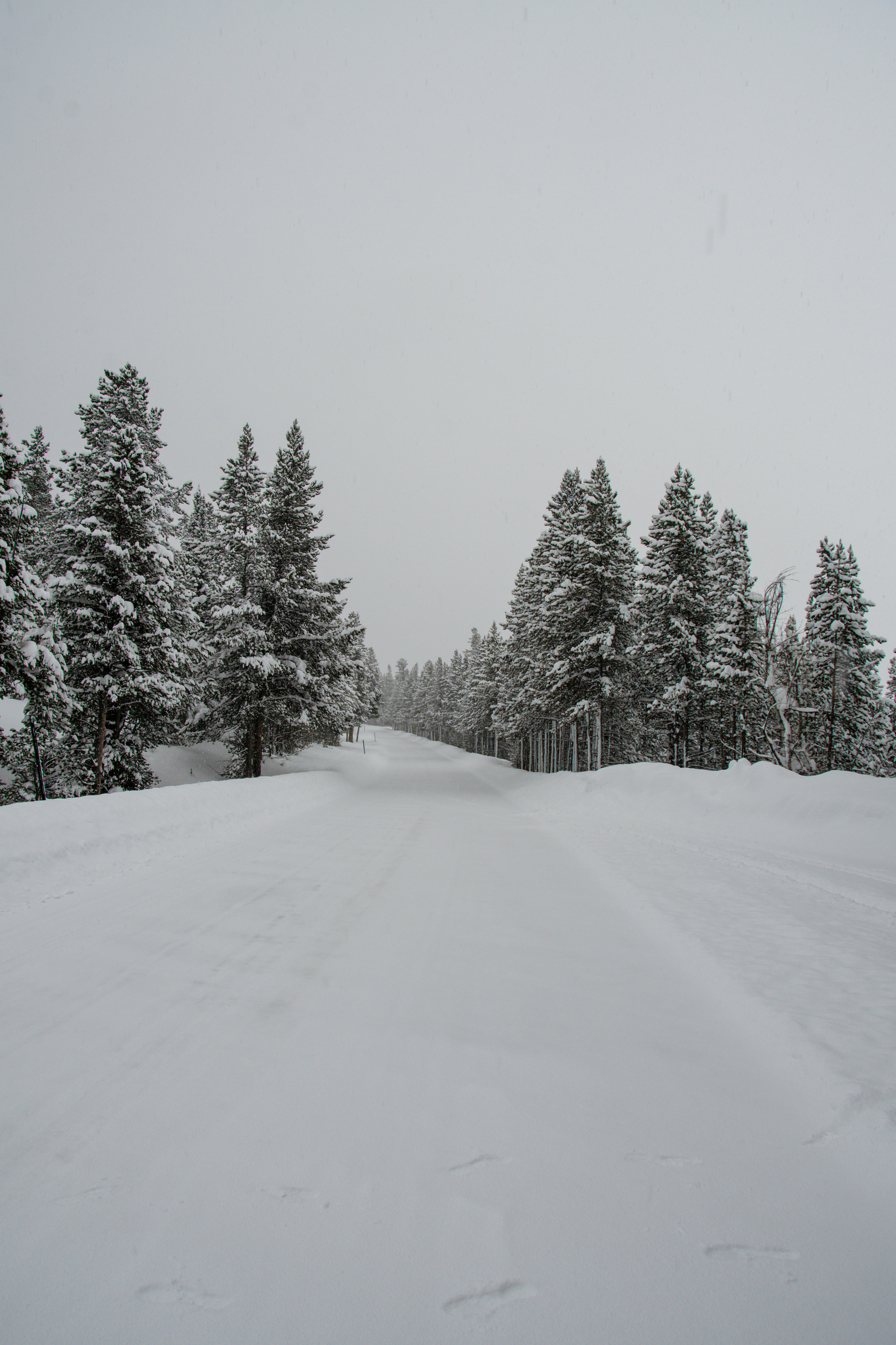 Photo by jackcharles