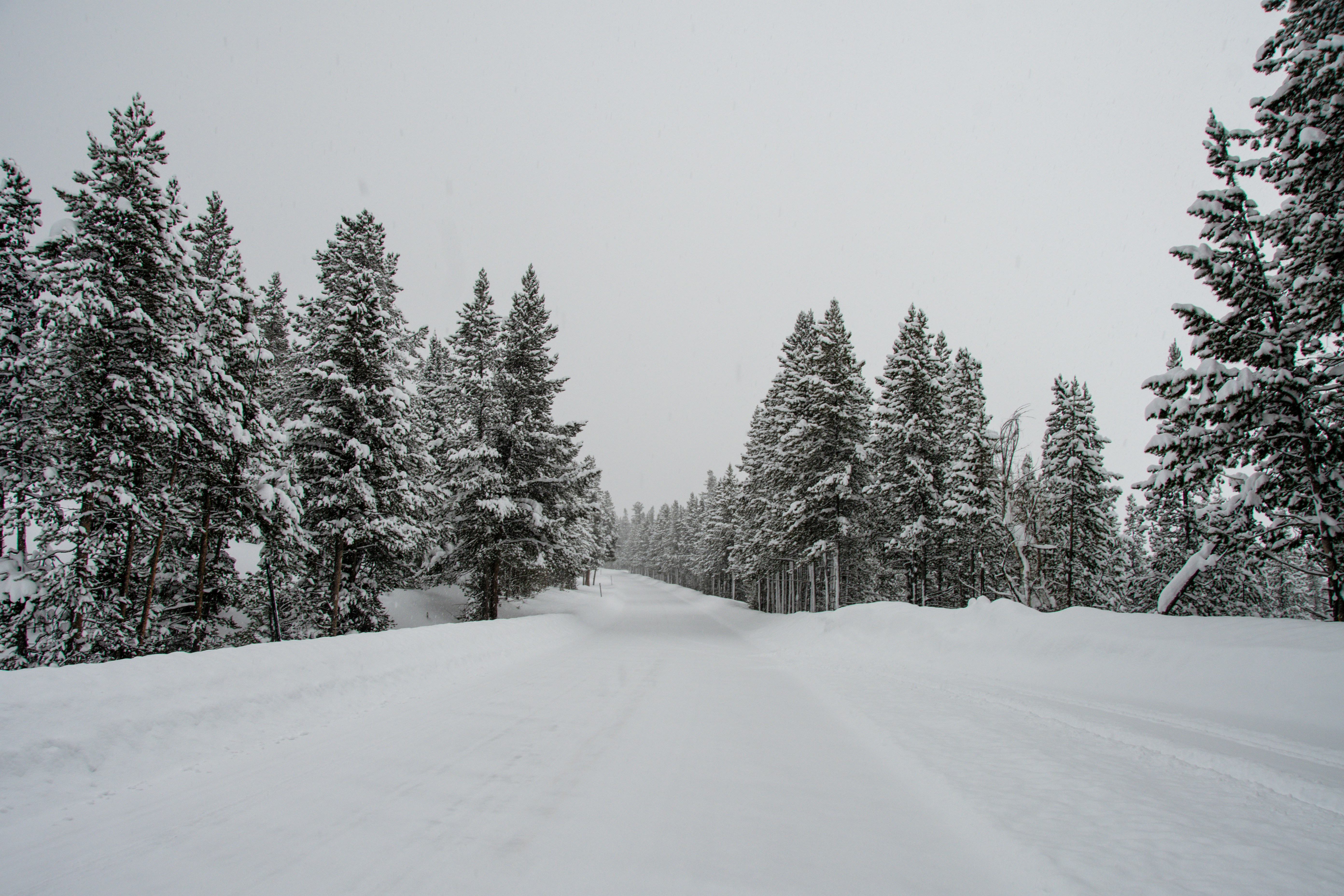 Photo by jackcharles