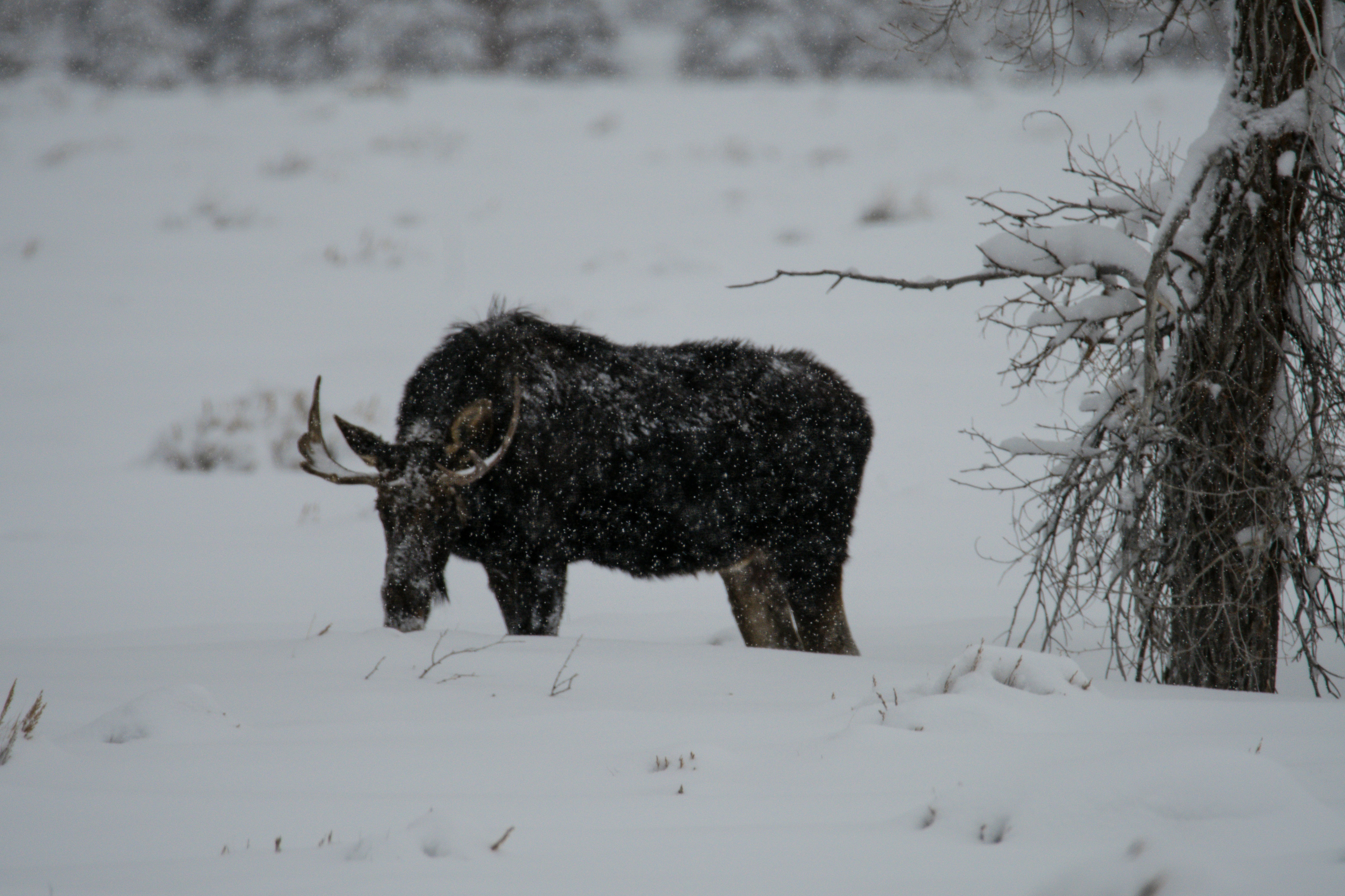 Photo by jackcharles