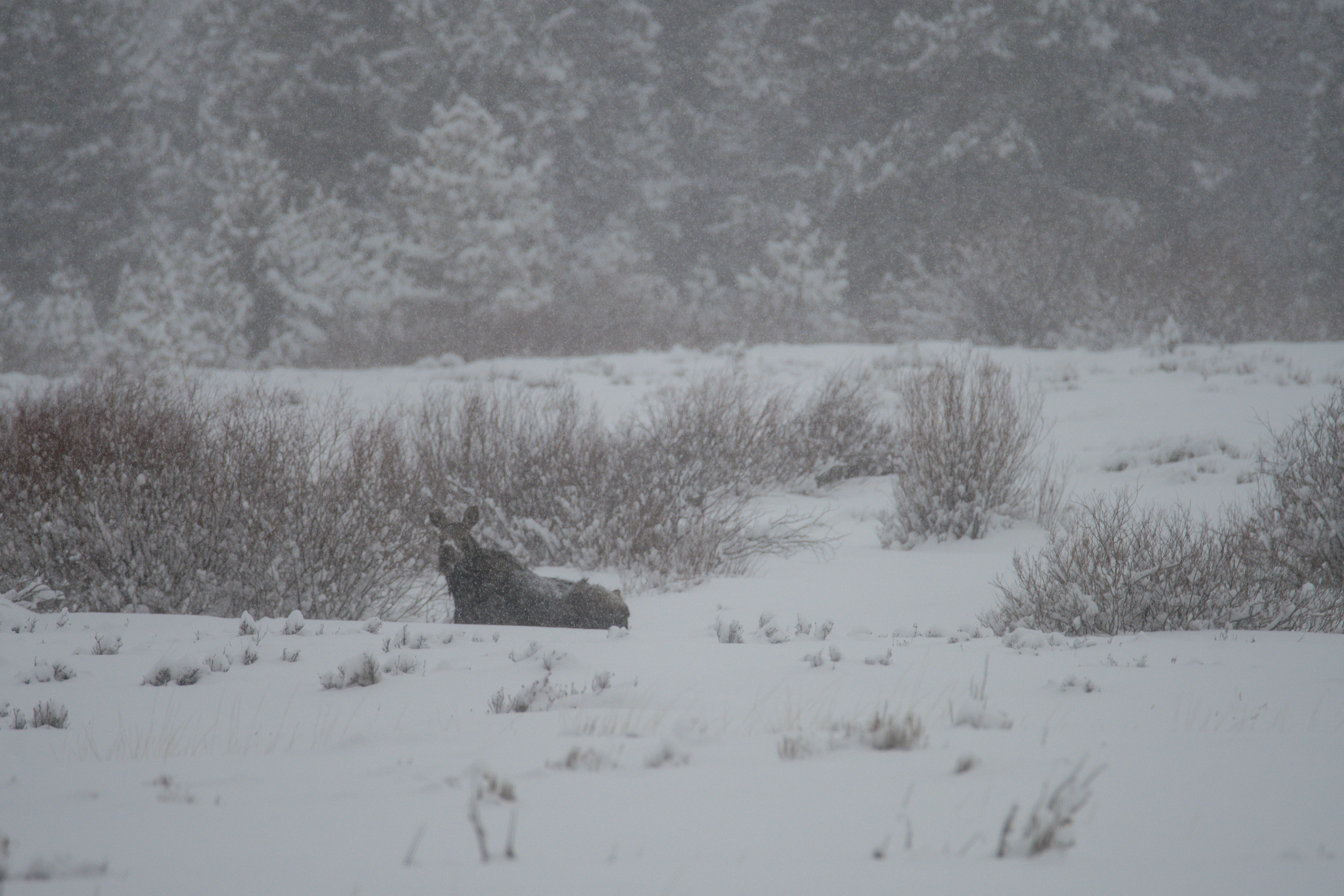 Photo by jackcharles