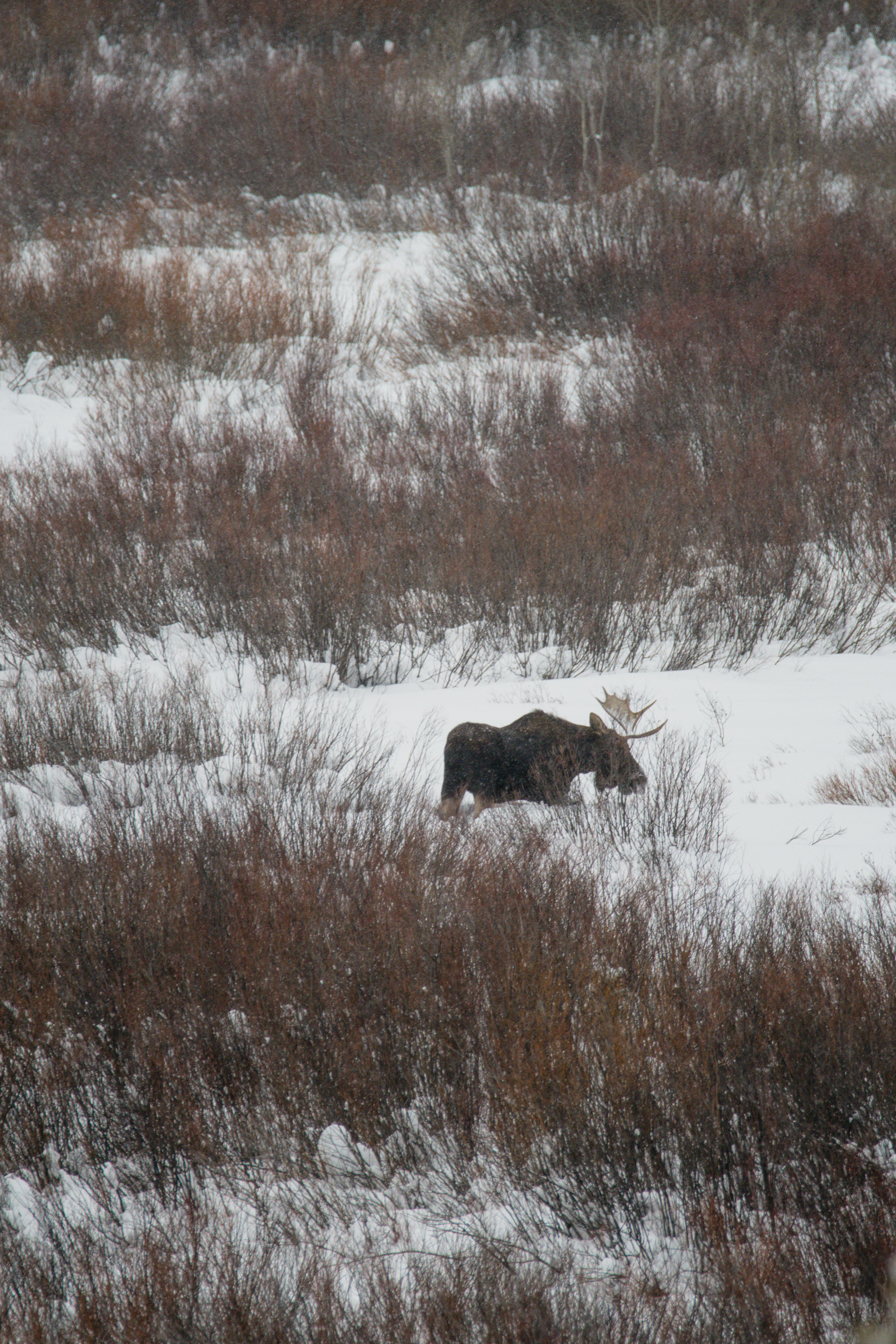 Photo by jackcharles
