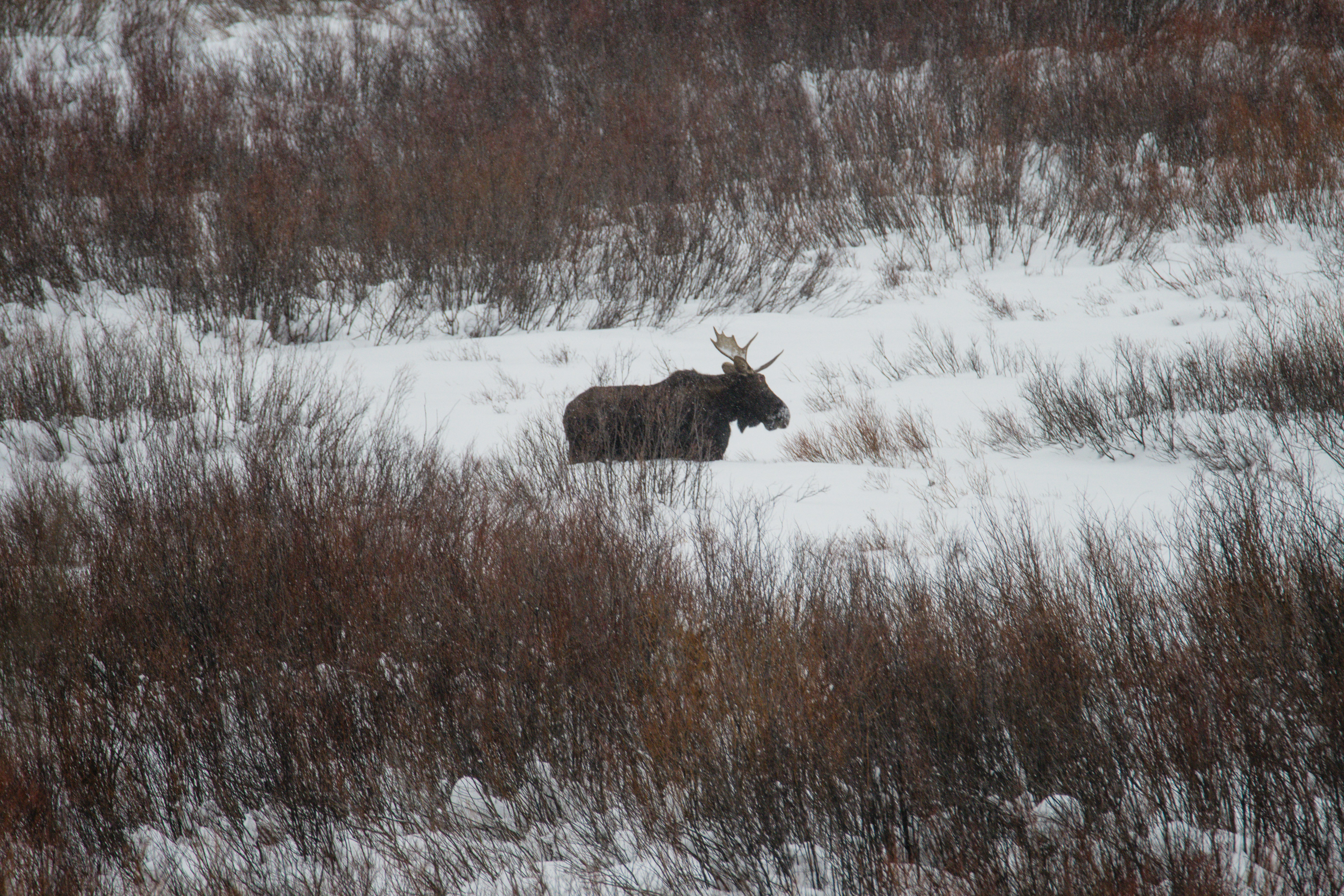 Photo by jackcharles