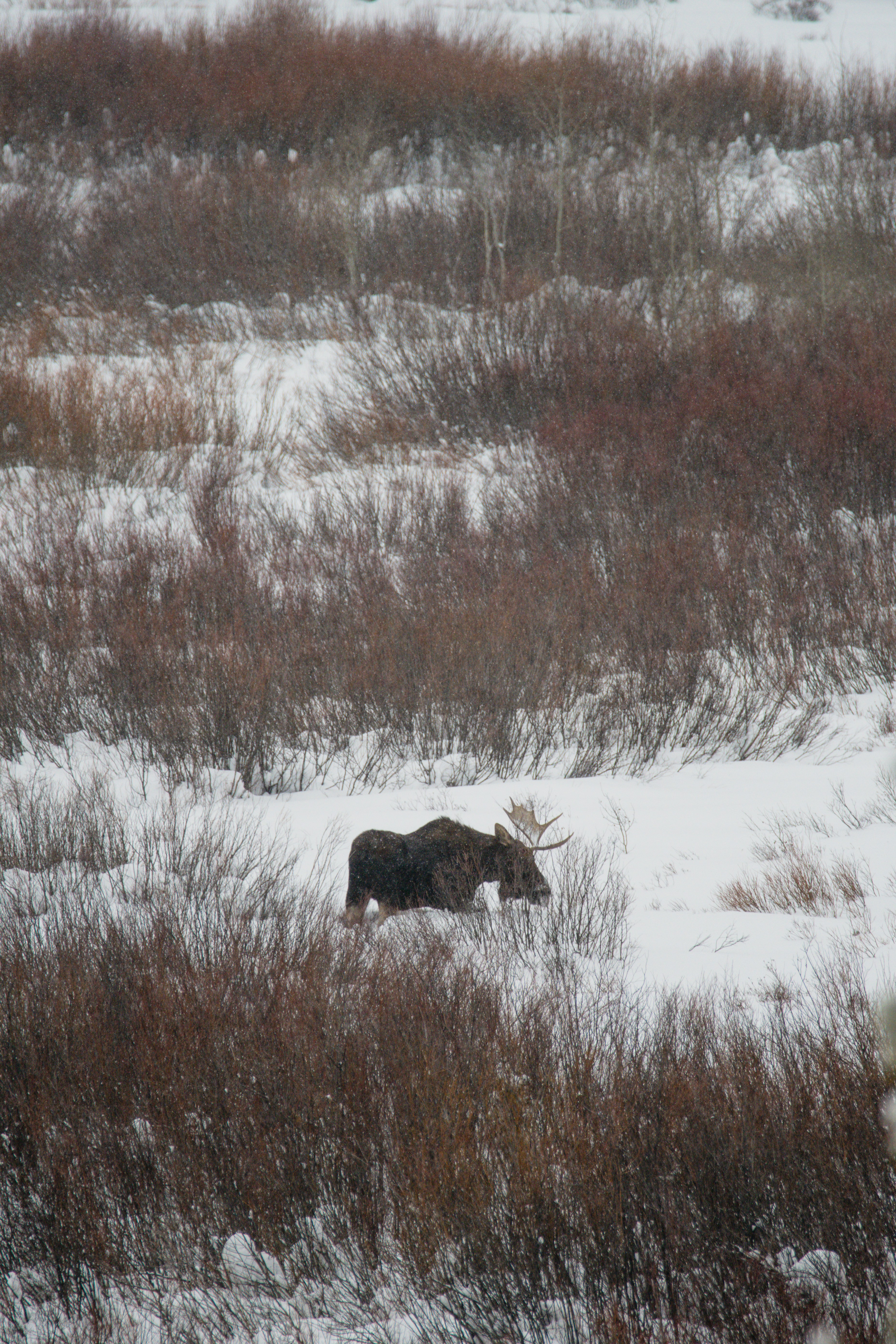 Photo by jackcharles