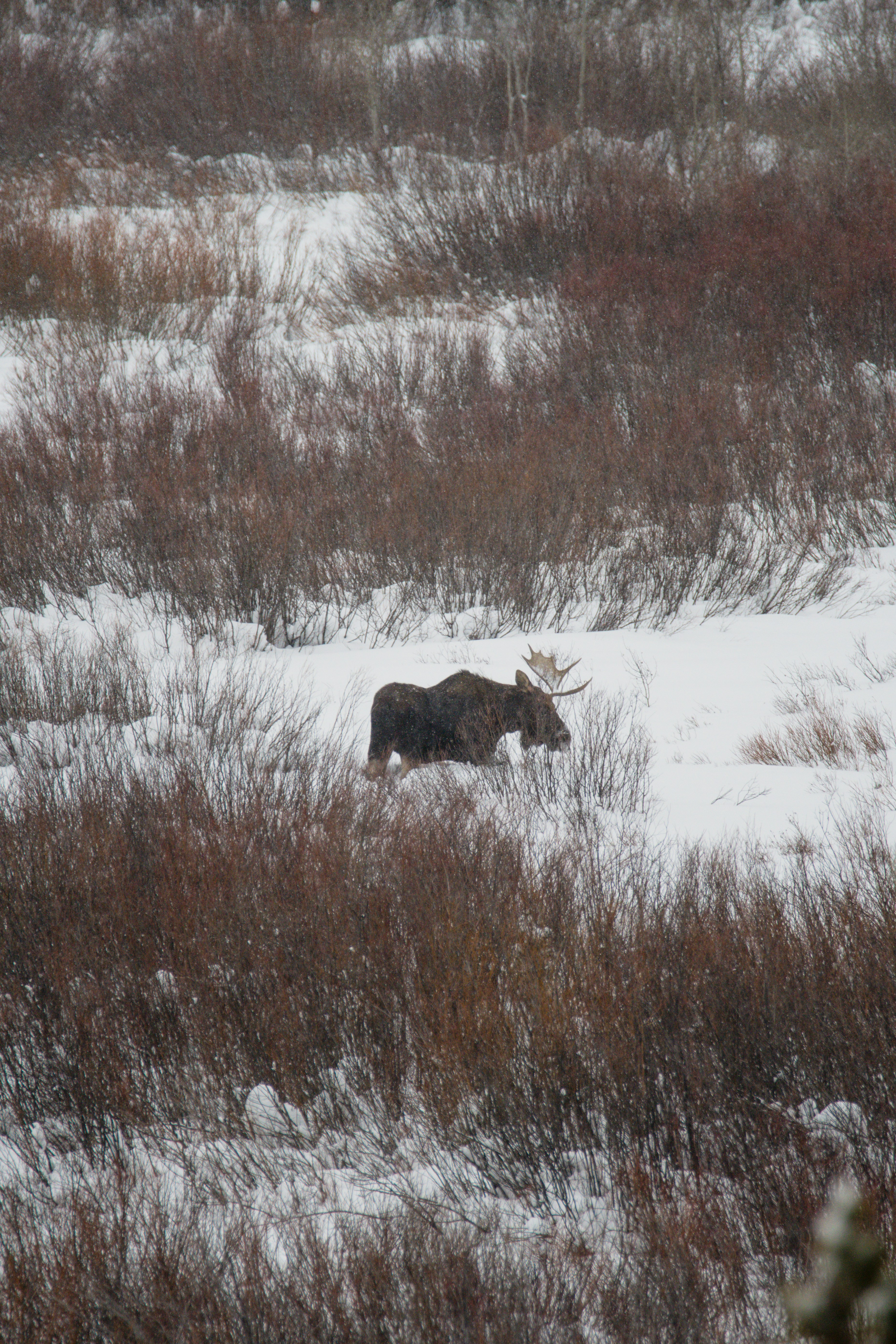 Photo by jackcharles