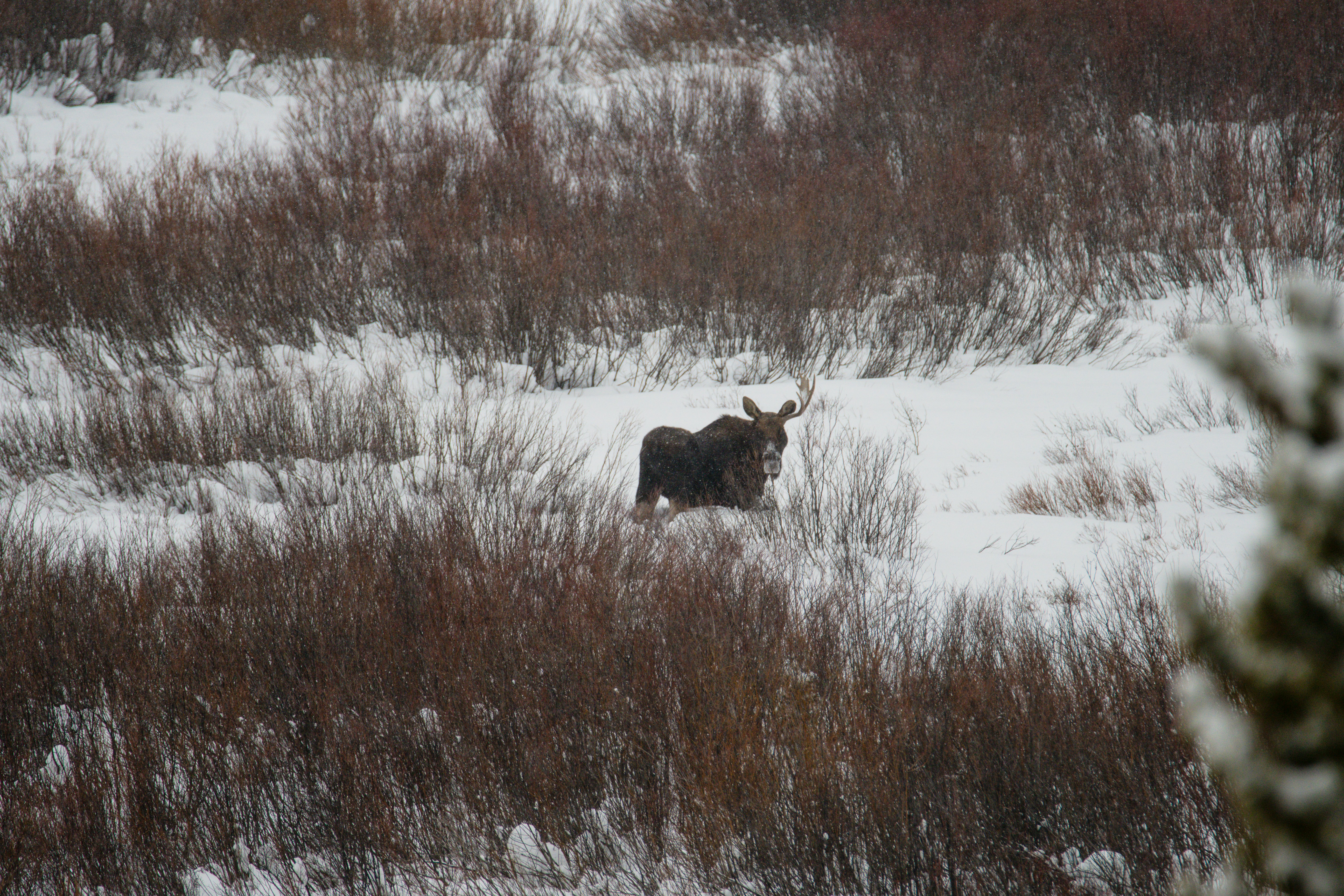 Photo by jackcharles
