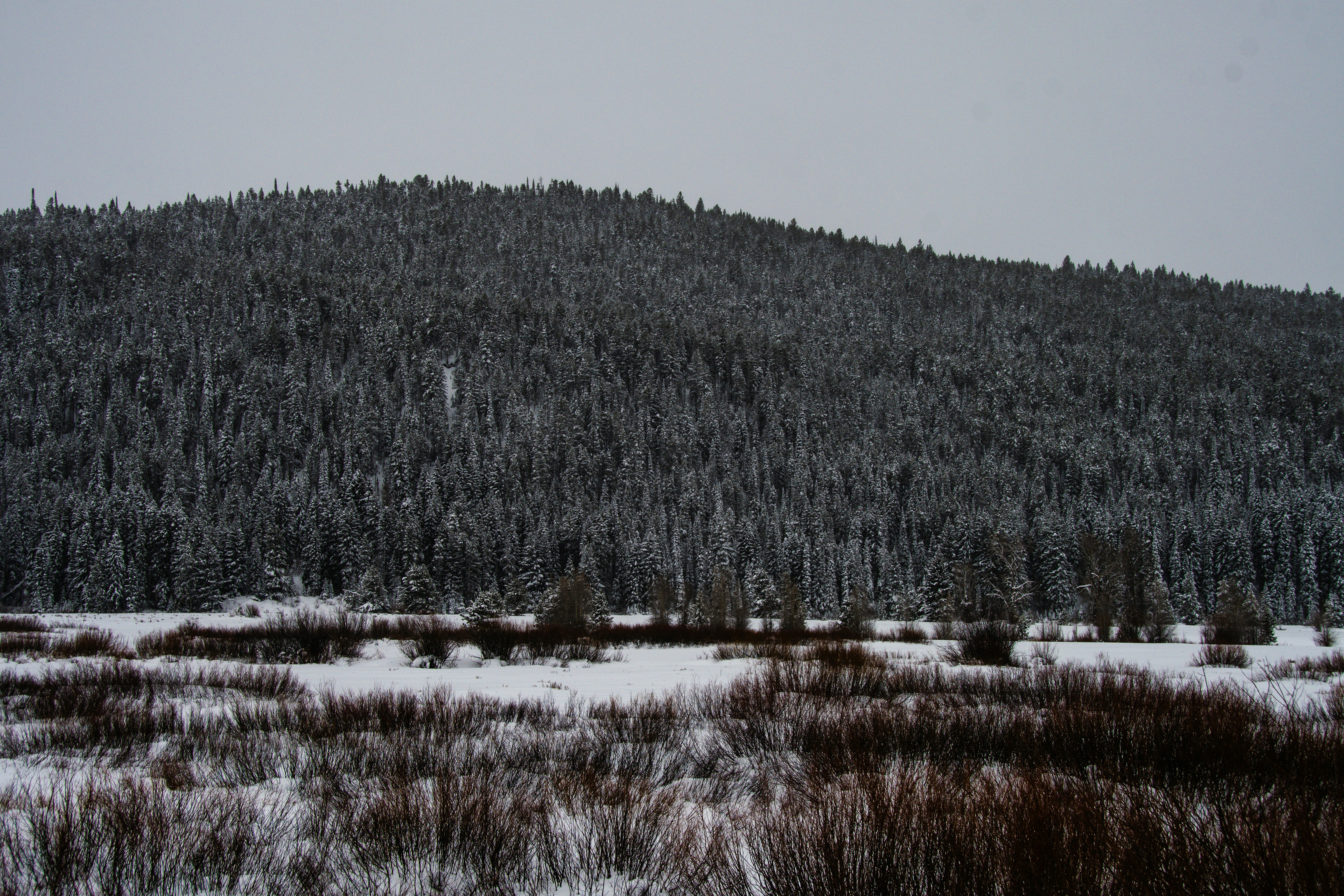 Photo by jackcharles