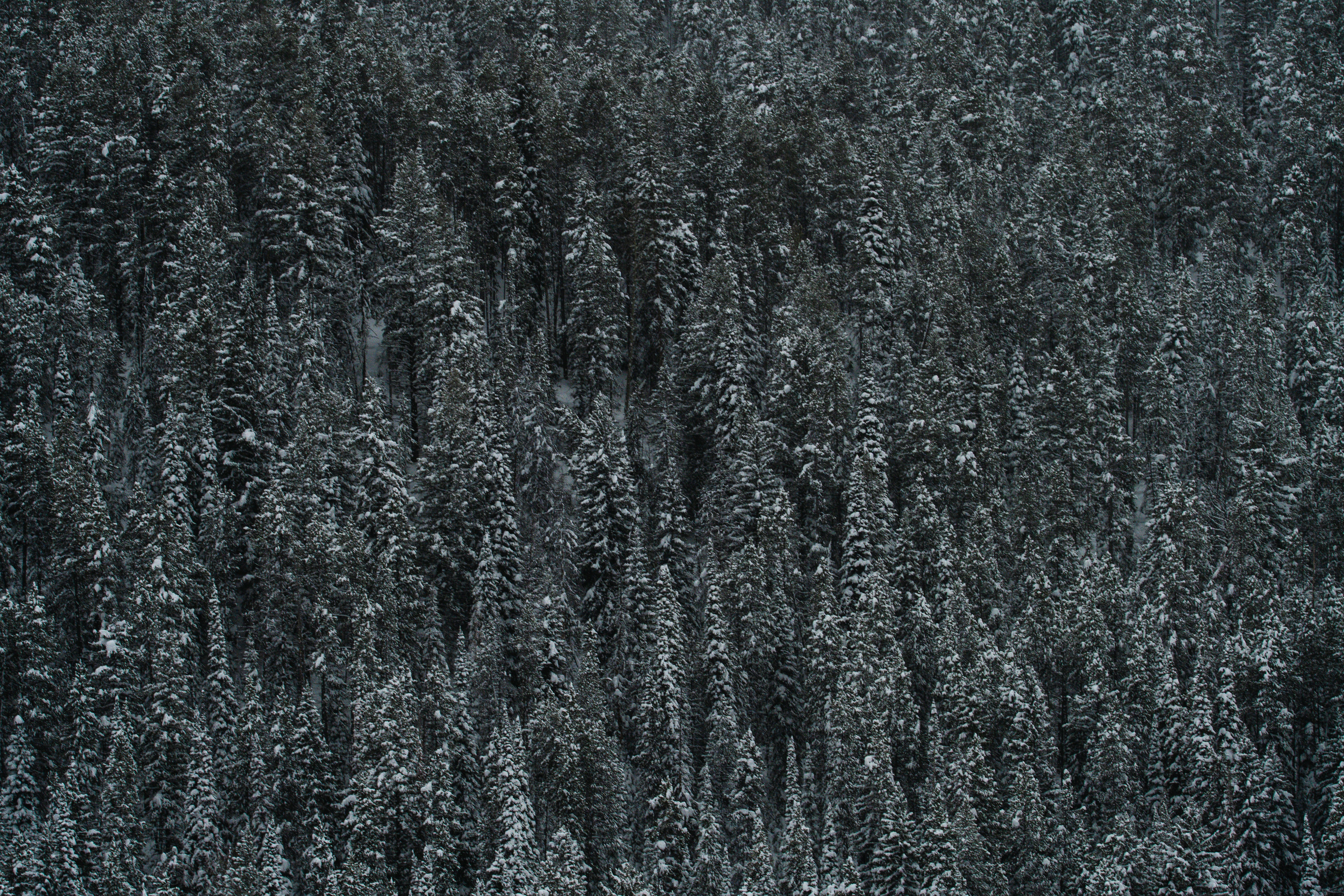 Photo by jackcharles