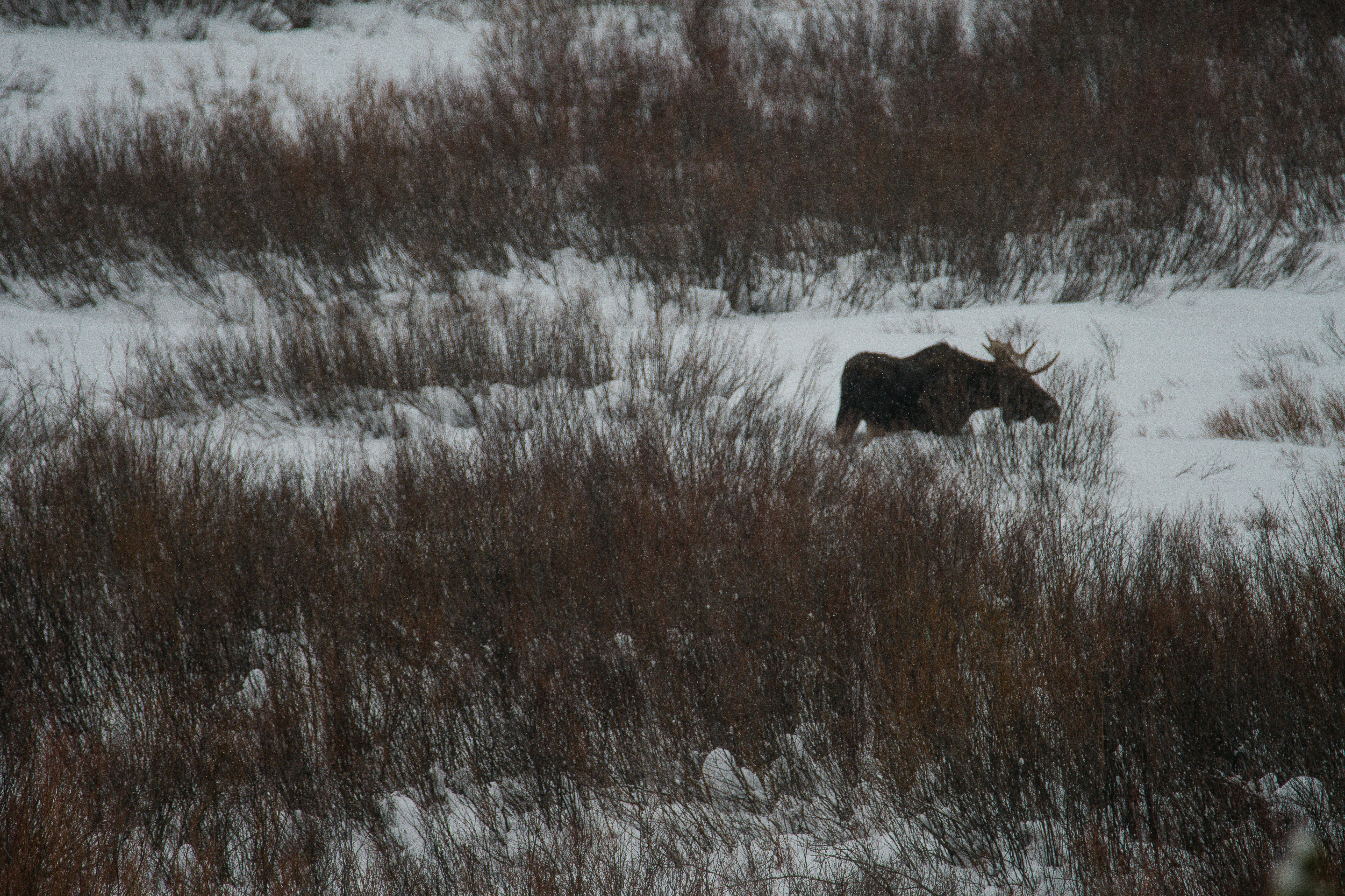 Photo by jackcharles