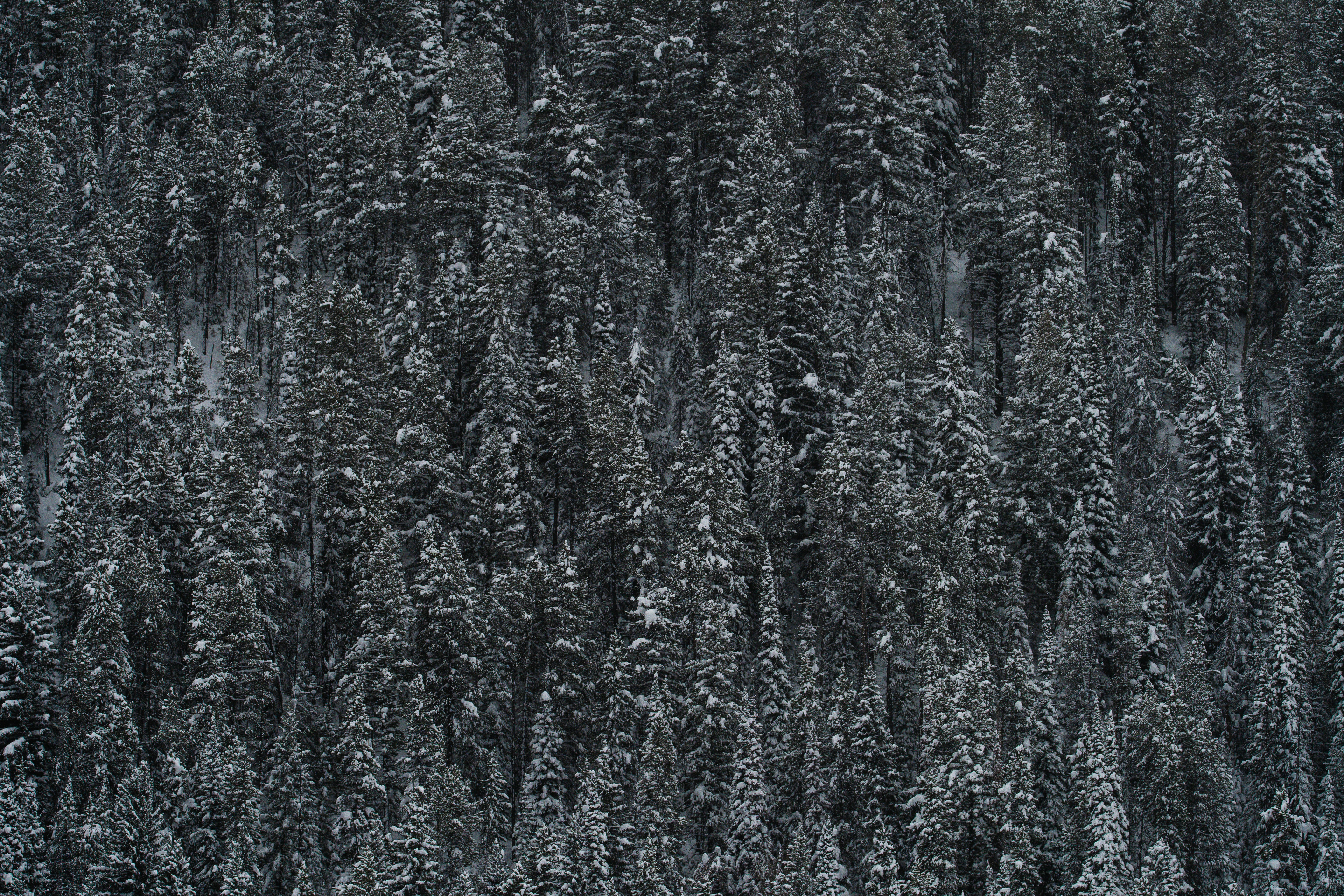 Photo by jackcharles