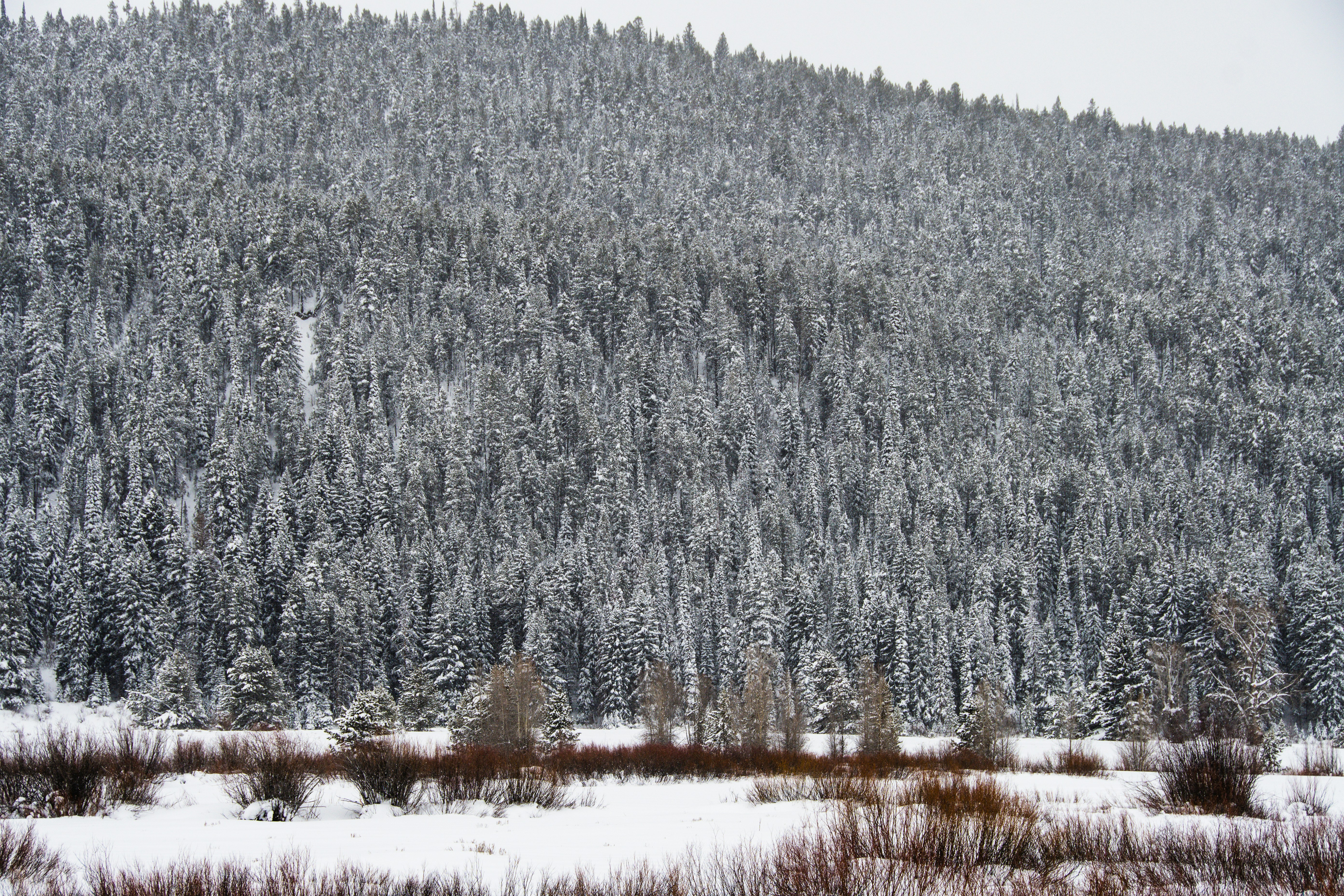 Photo by jackcharles