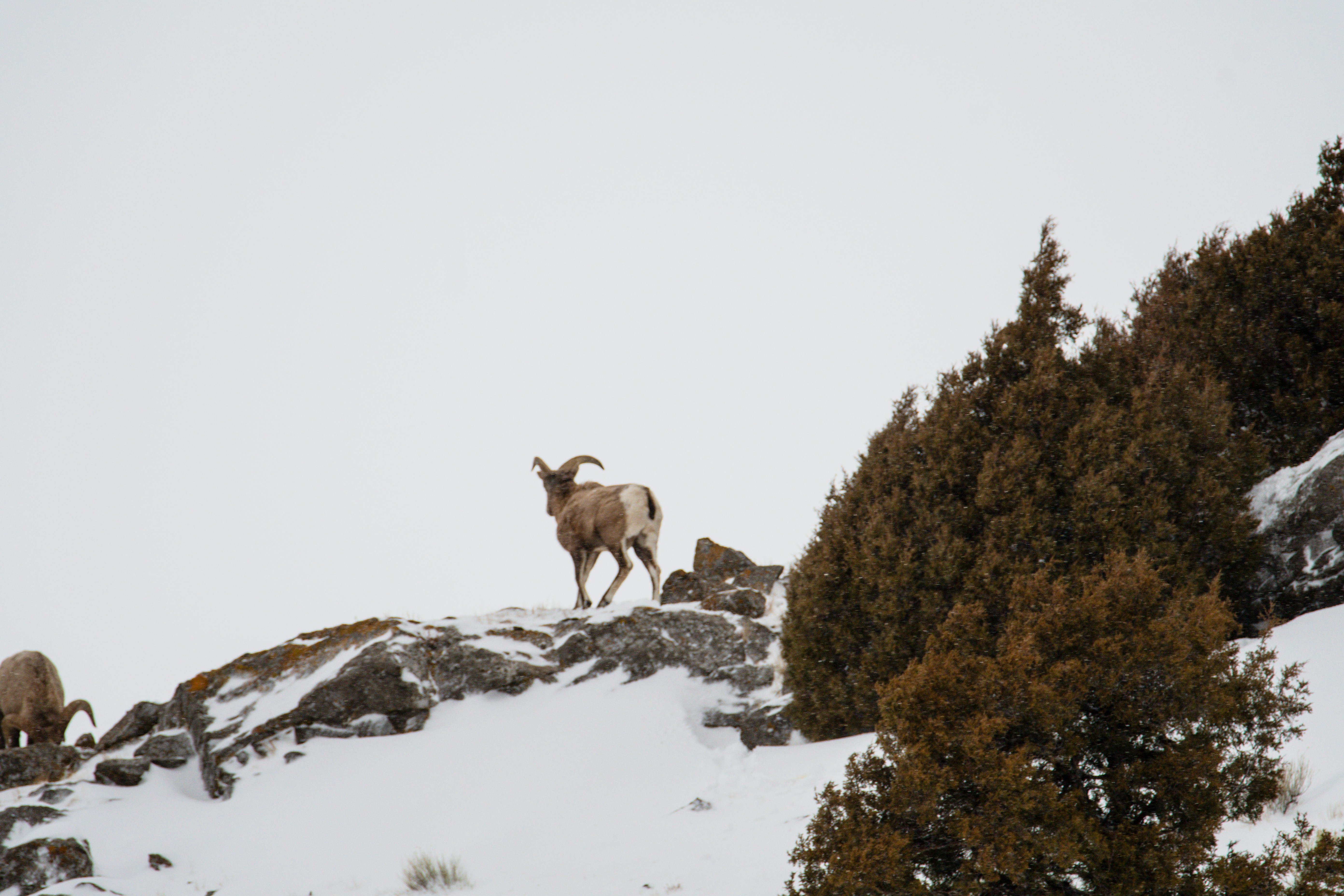 Photo by jackcharles