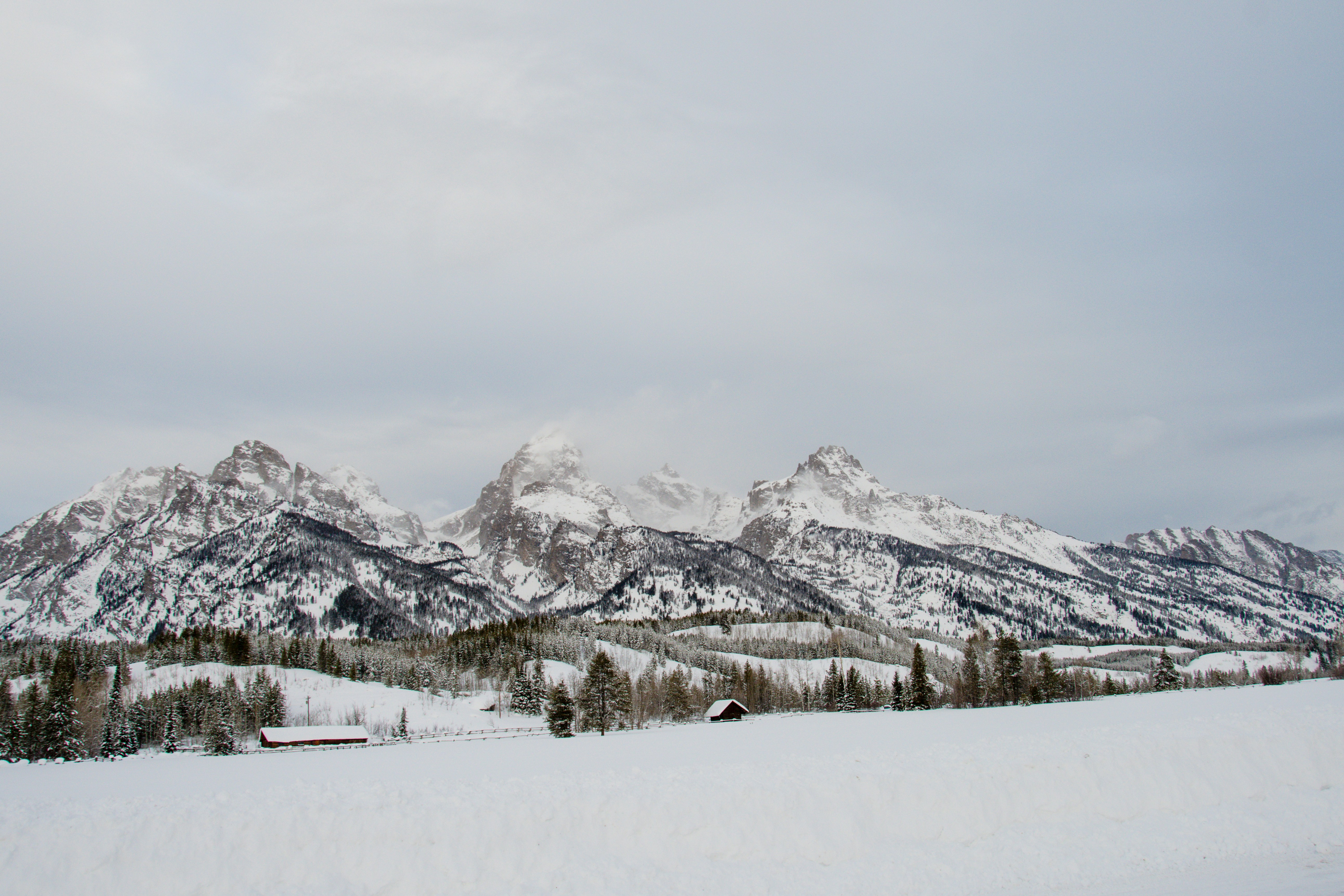 Photo by jackcharles