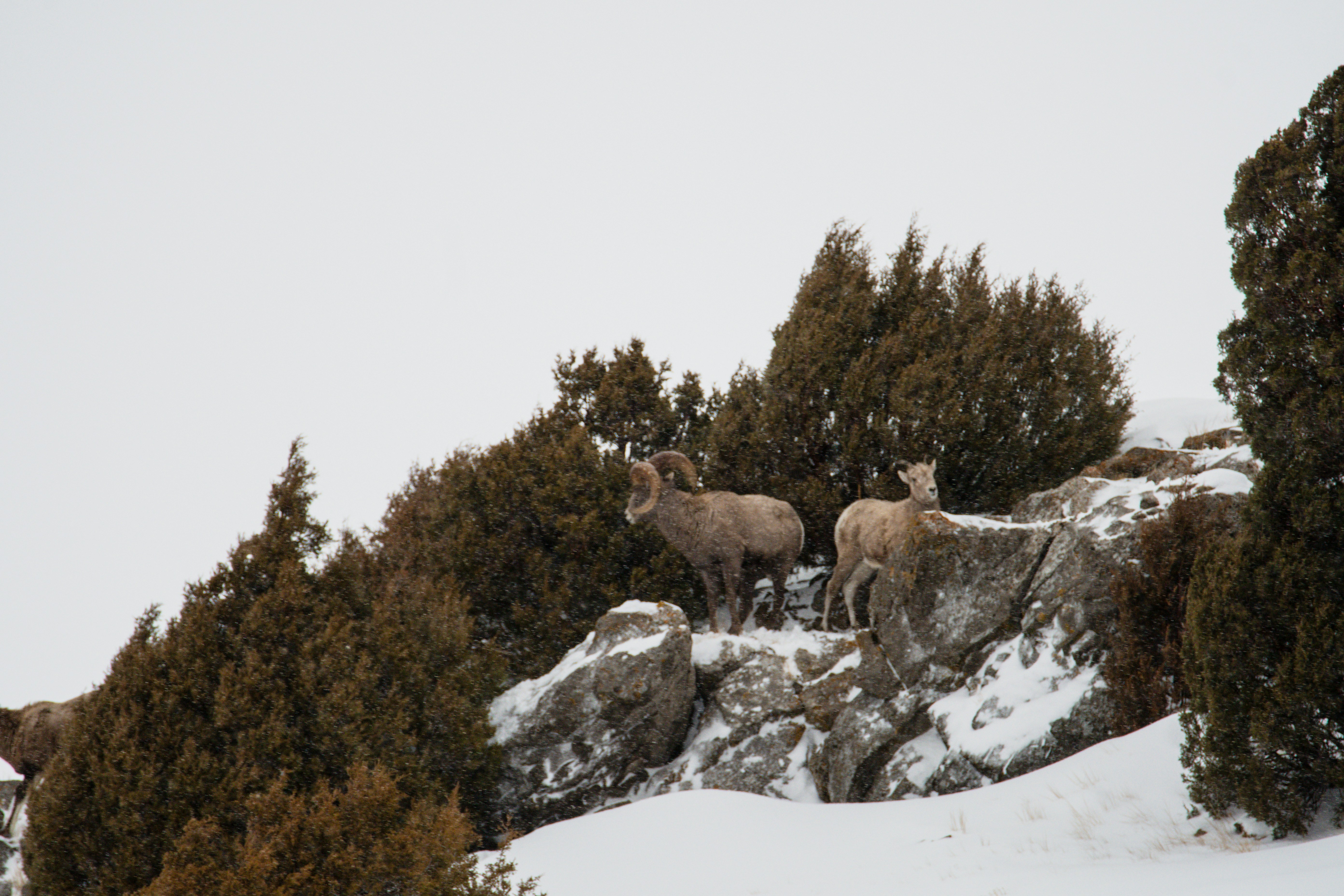 Photo by jackcharles