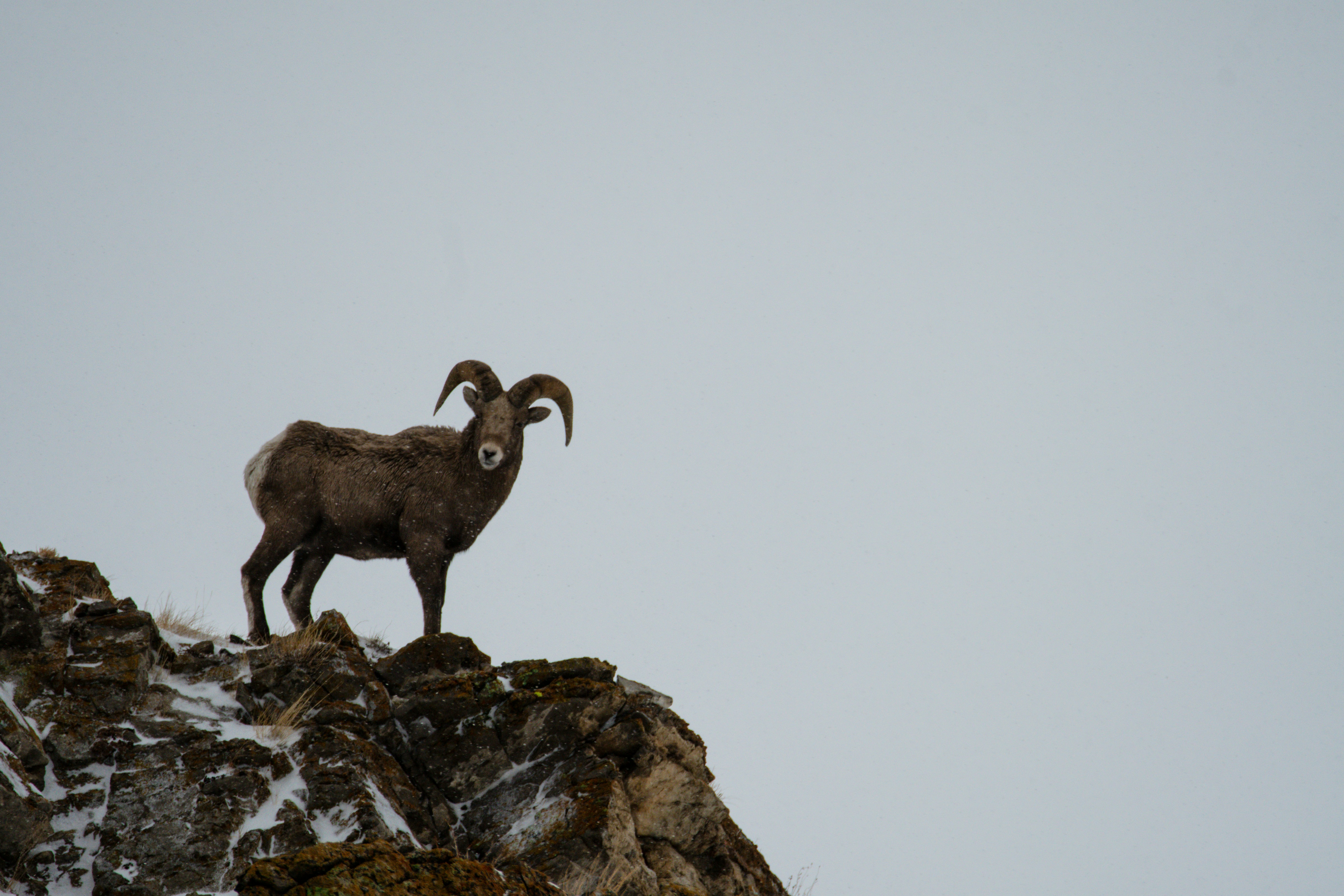 Photo by jackcharles