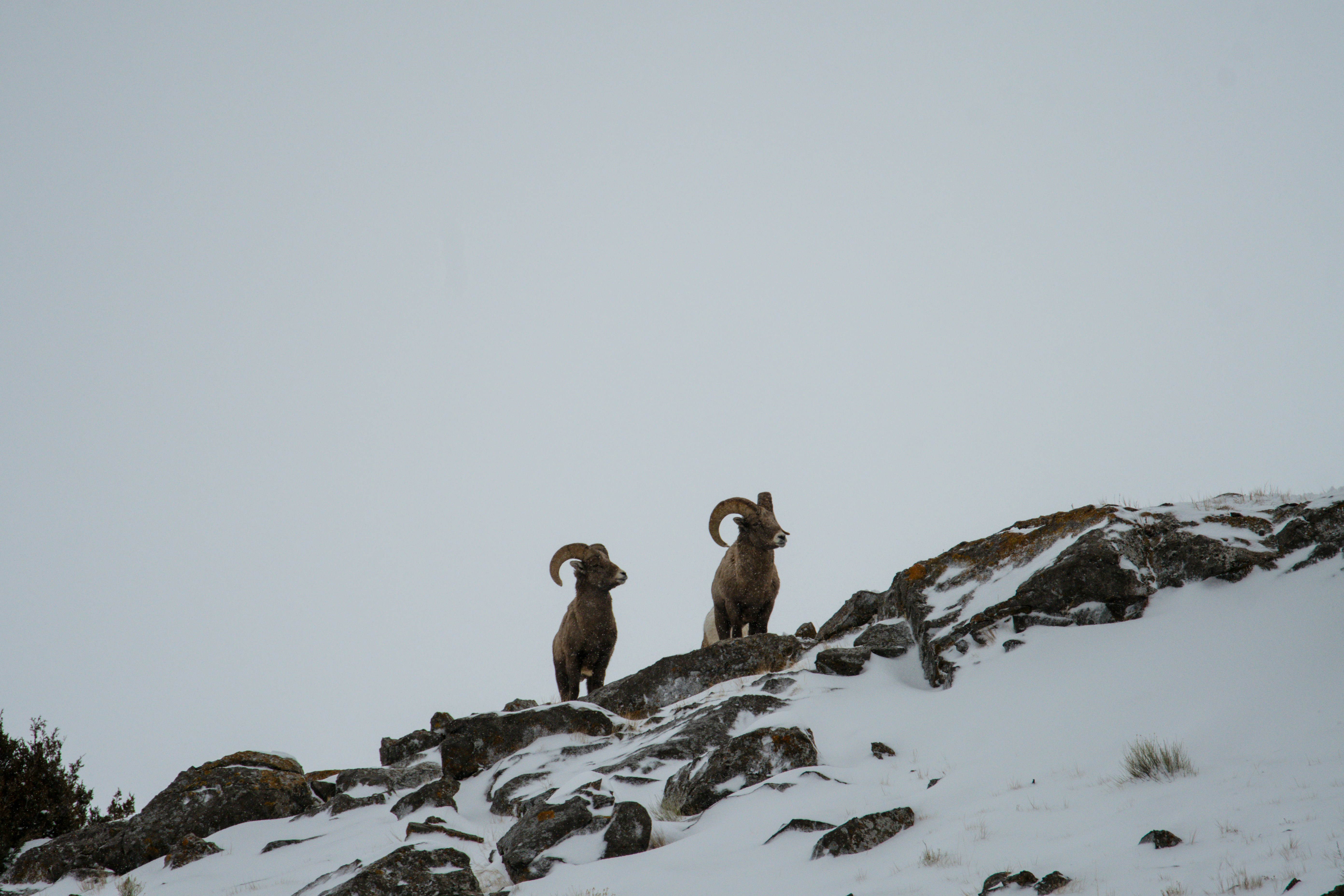 Photo by jackcharles