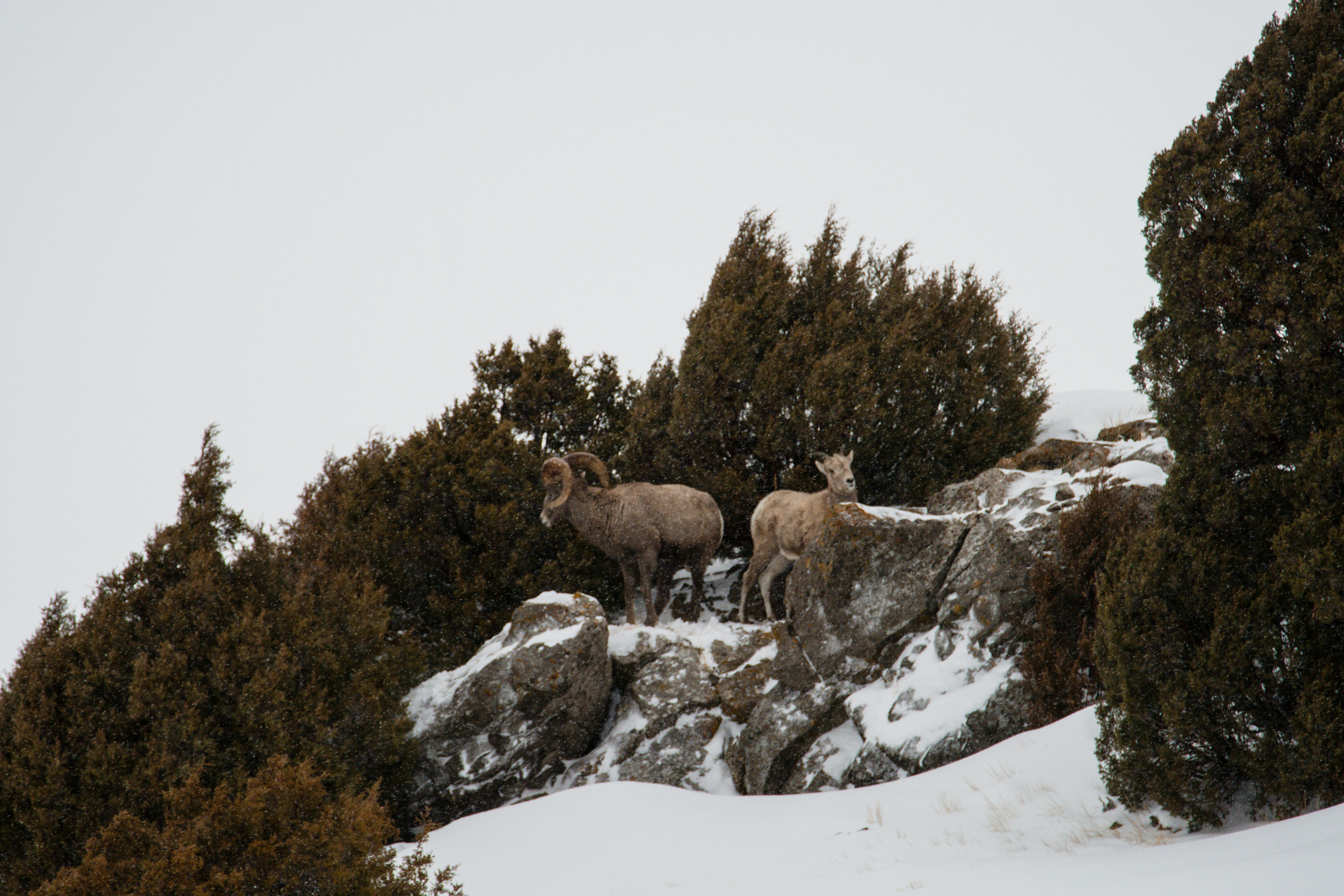 Photo by jackcharles