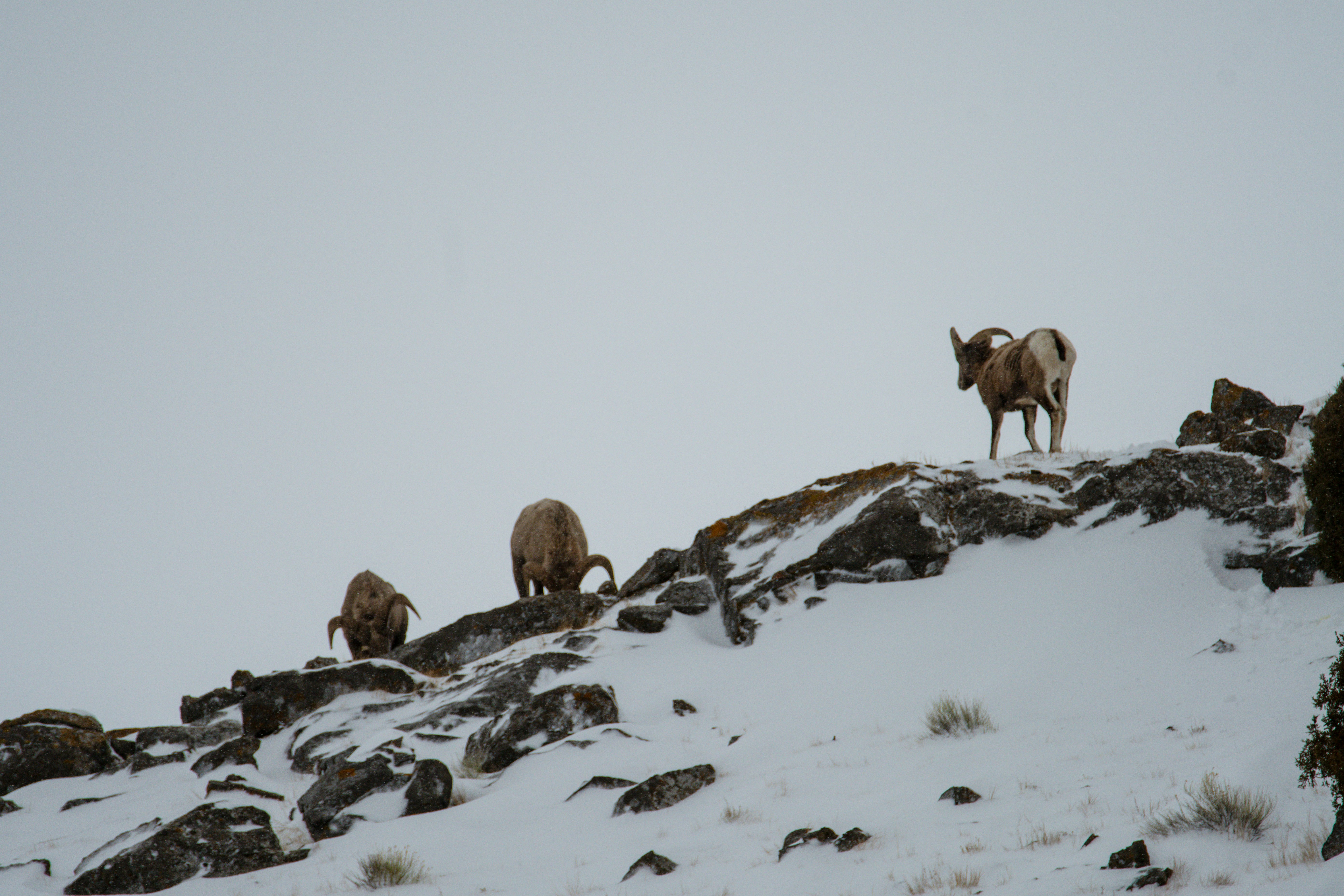 Photo by jackcharles