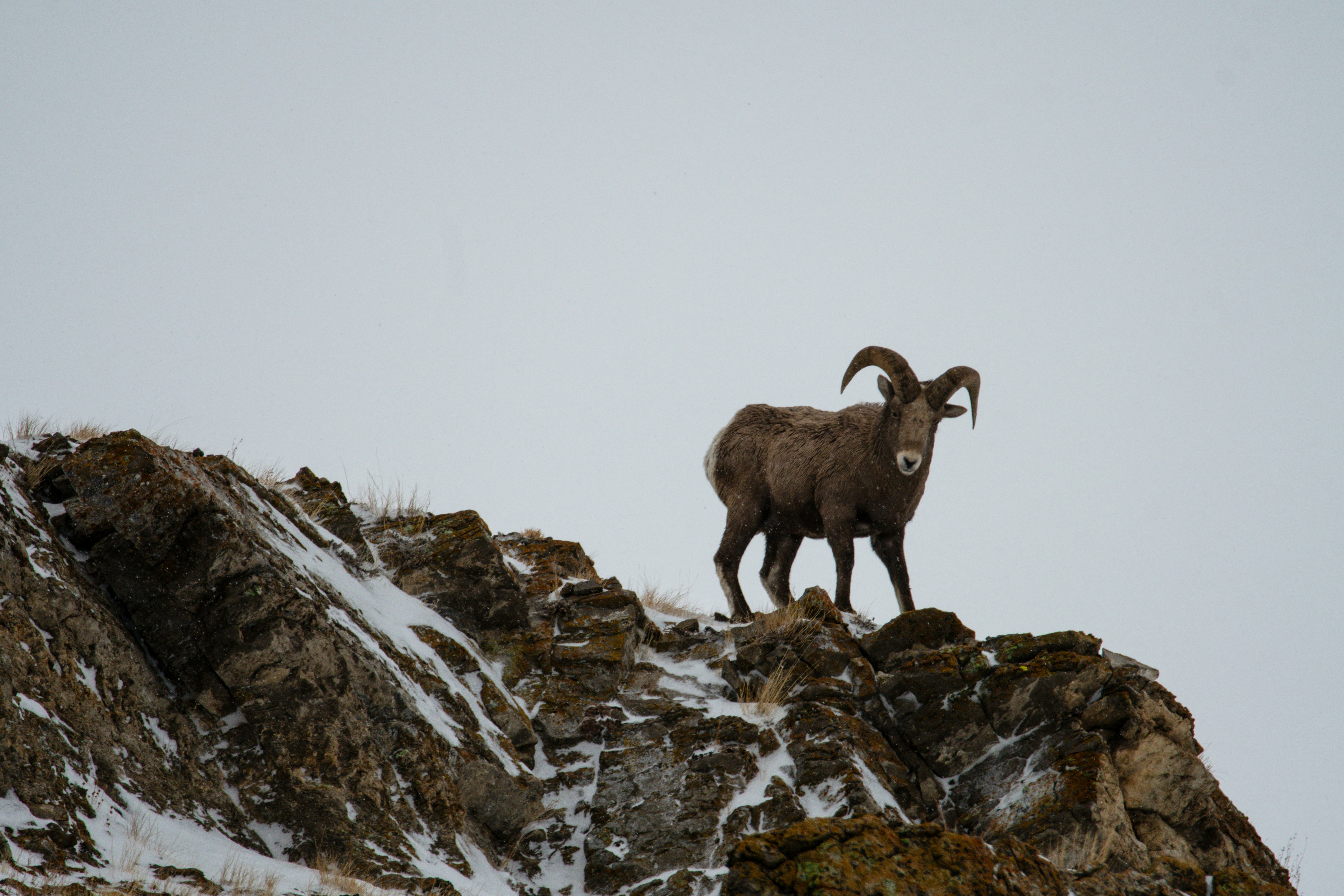 Photo by jackcharles