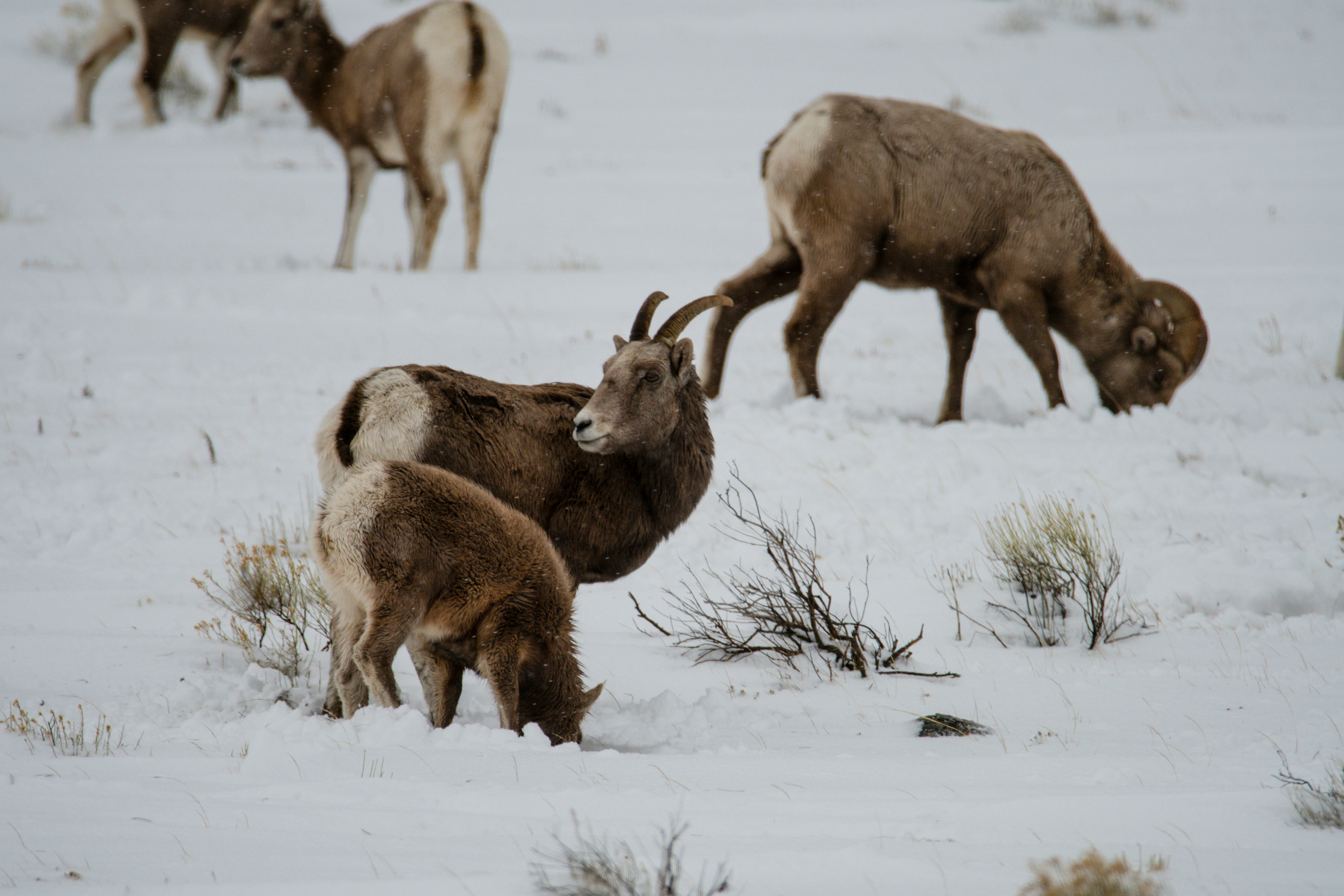 Photo by jackcharles