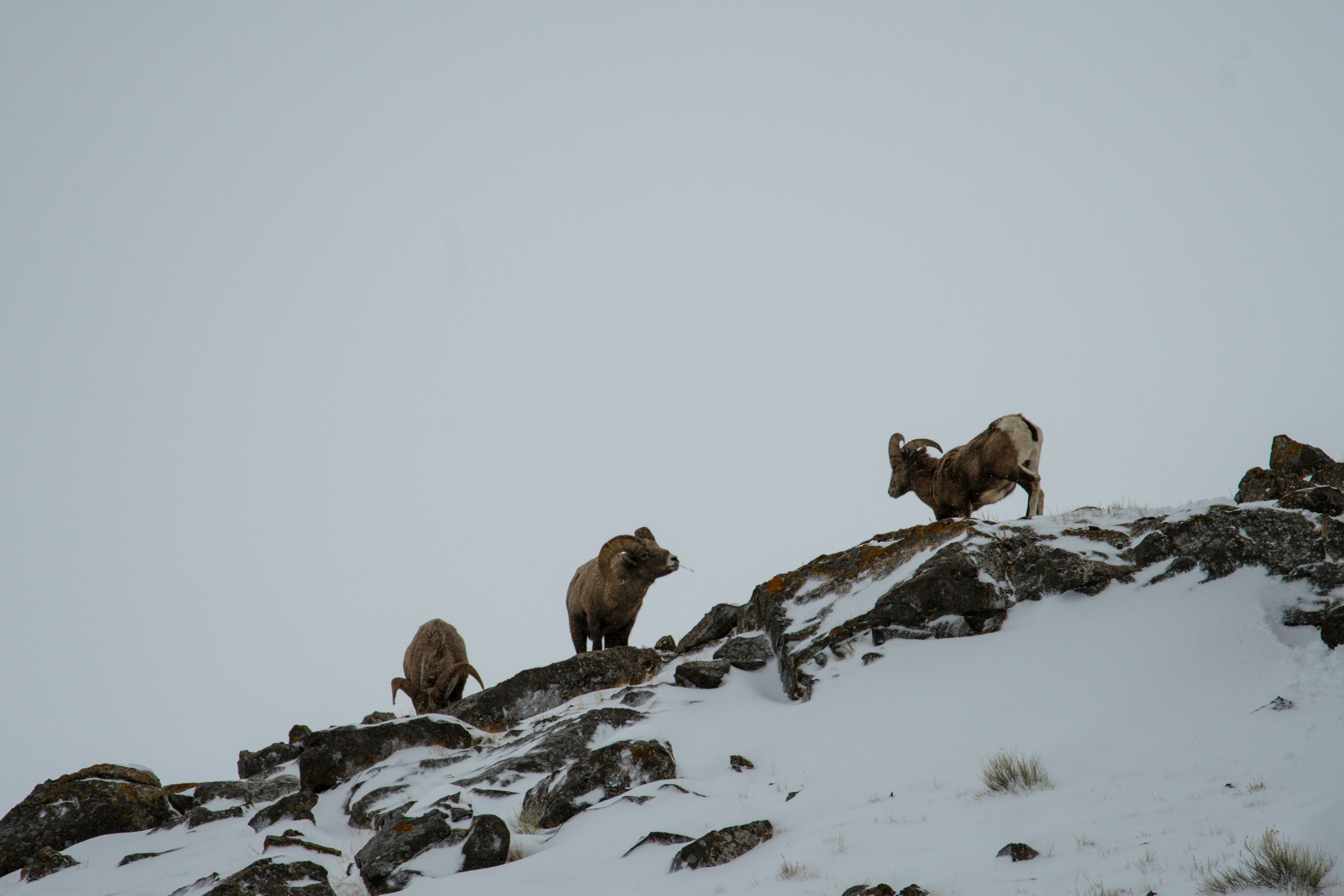 Photo by jackcharles