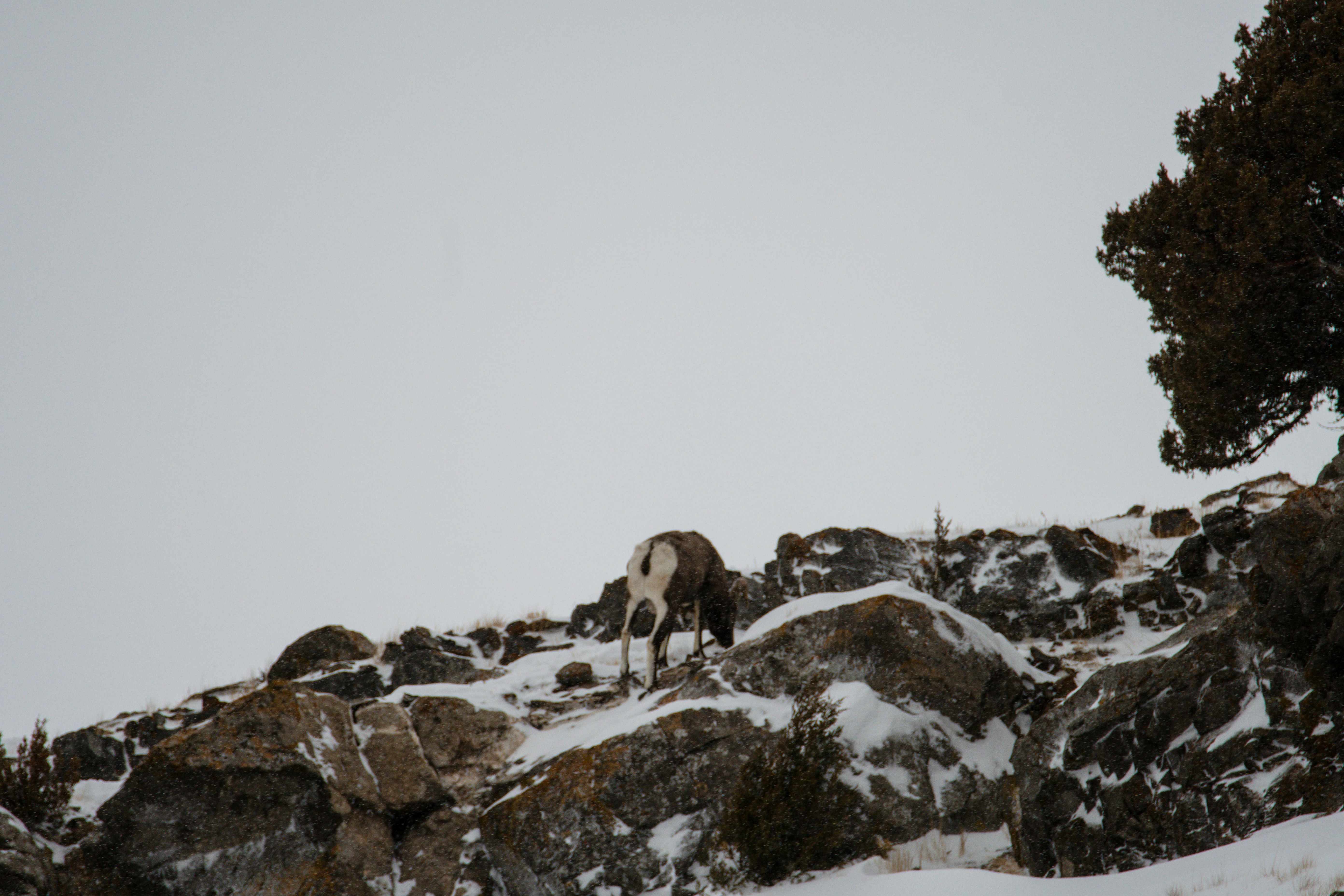 Photo by jackcharles