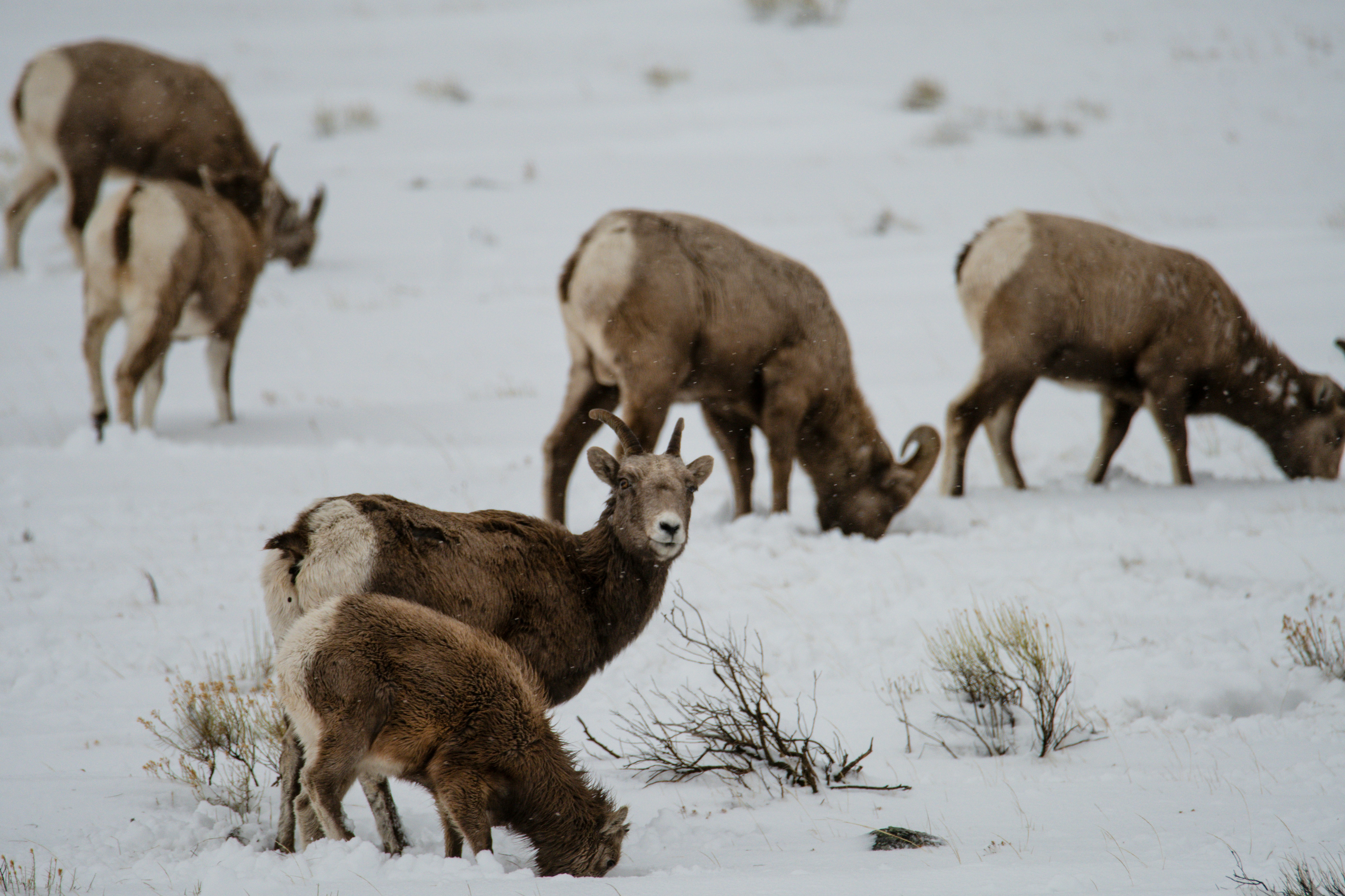 Photo by jackcharles