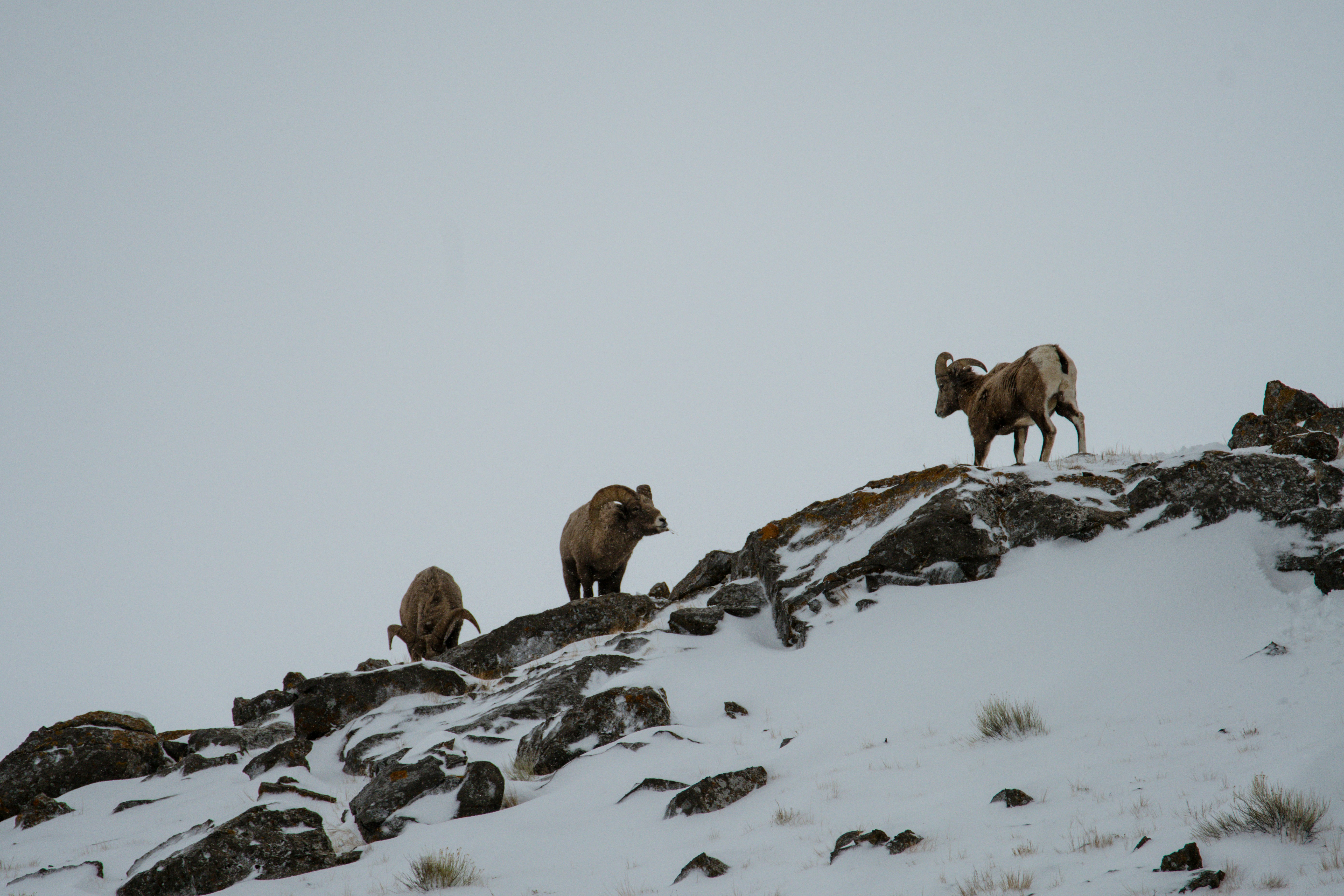 Photo by jackcharles