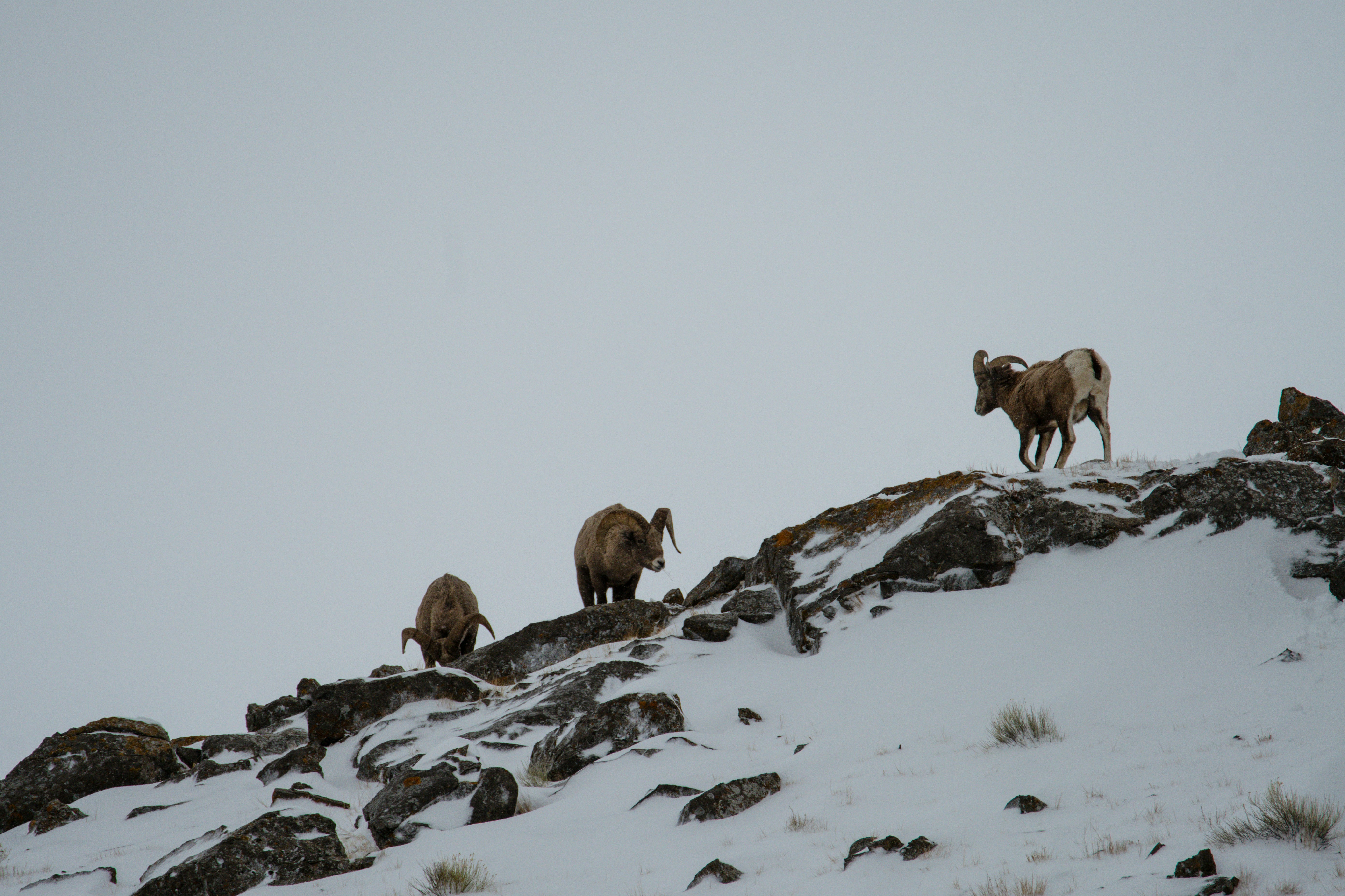 Photo by jackcharles