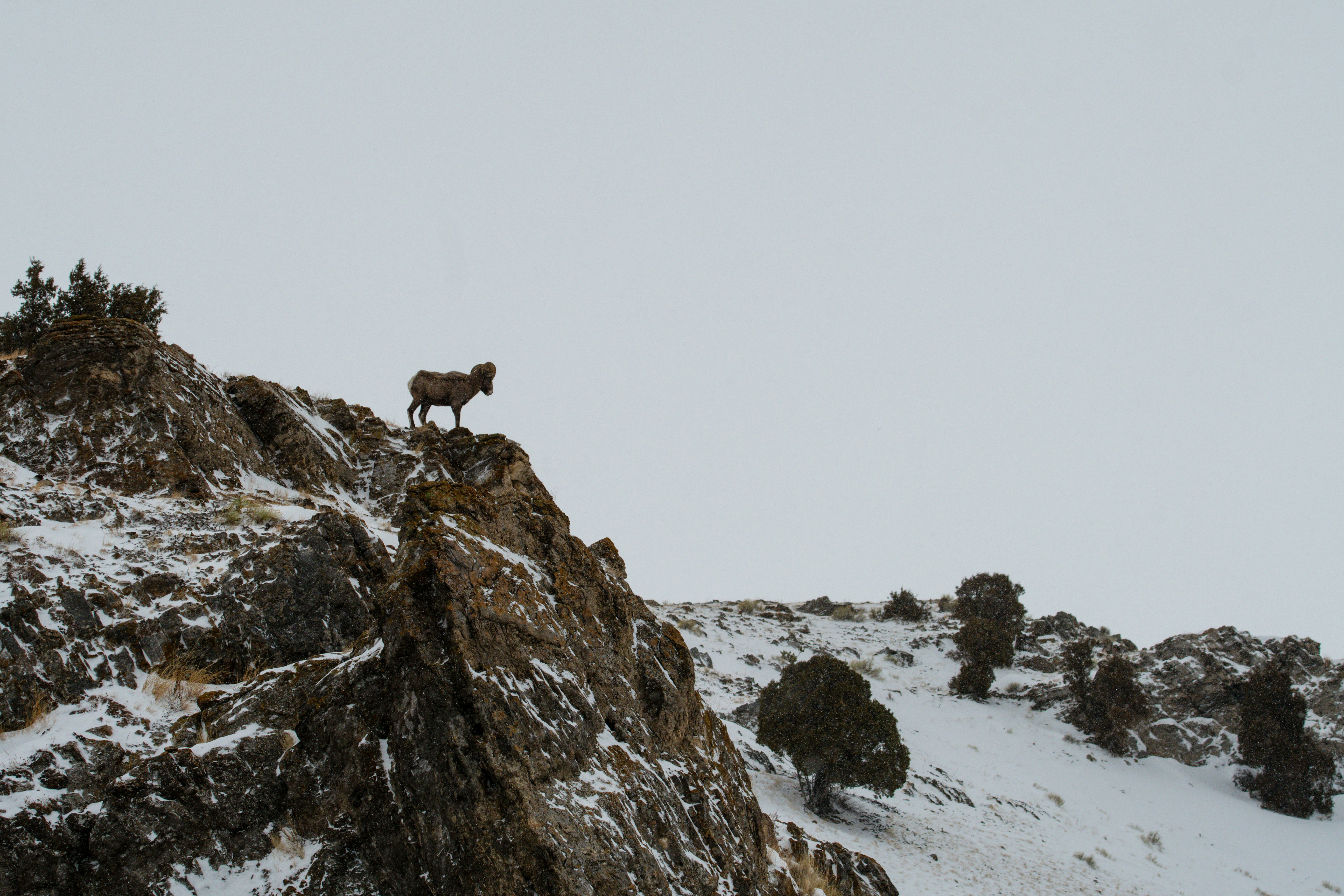 Photo by jackcharles