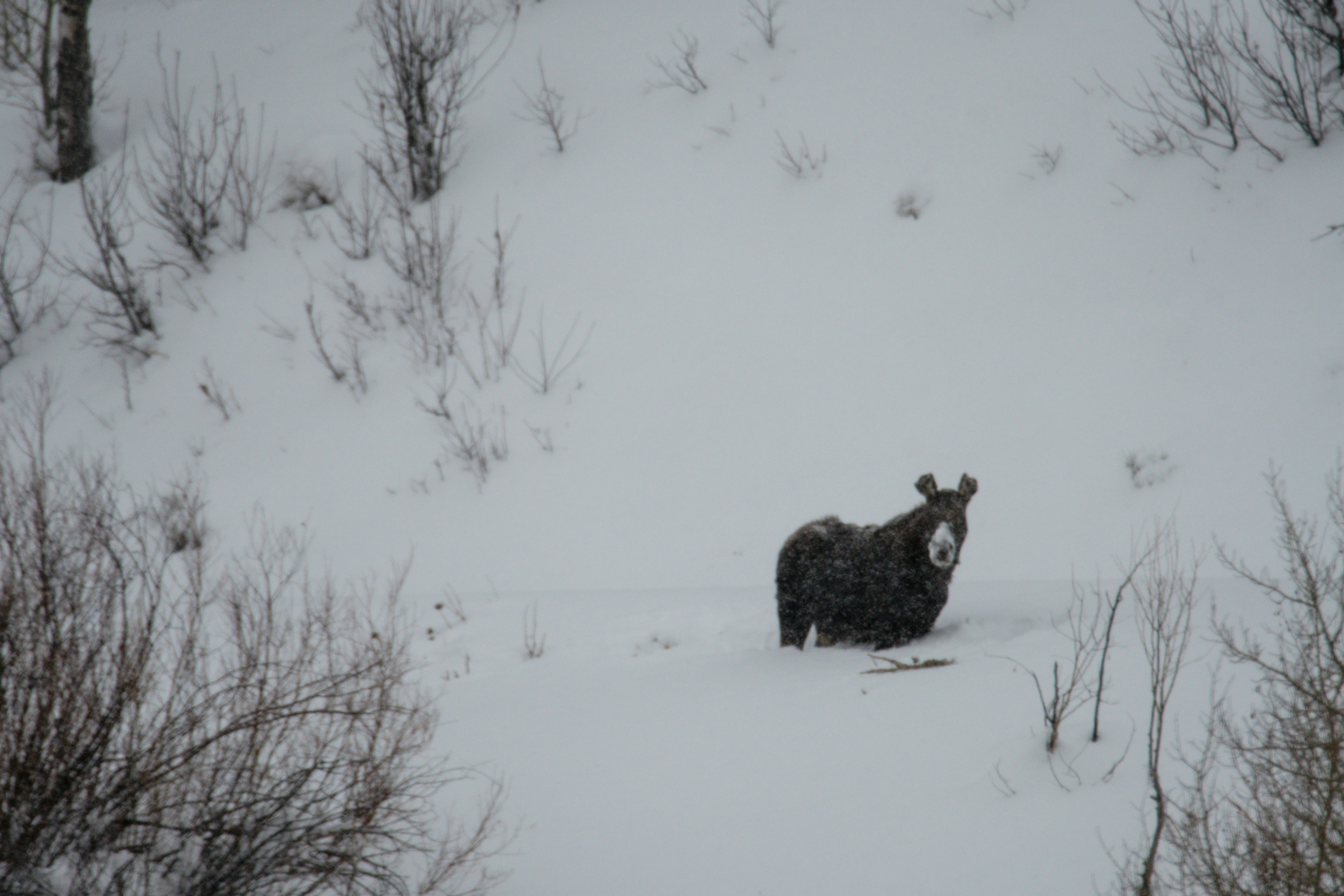 Photo by jackcharles