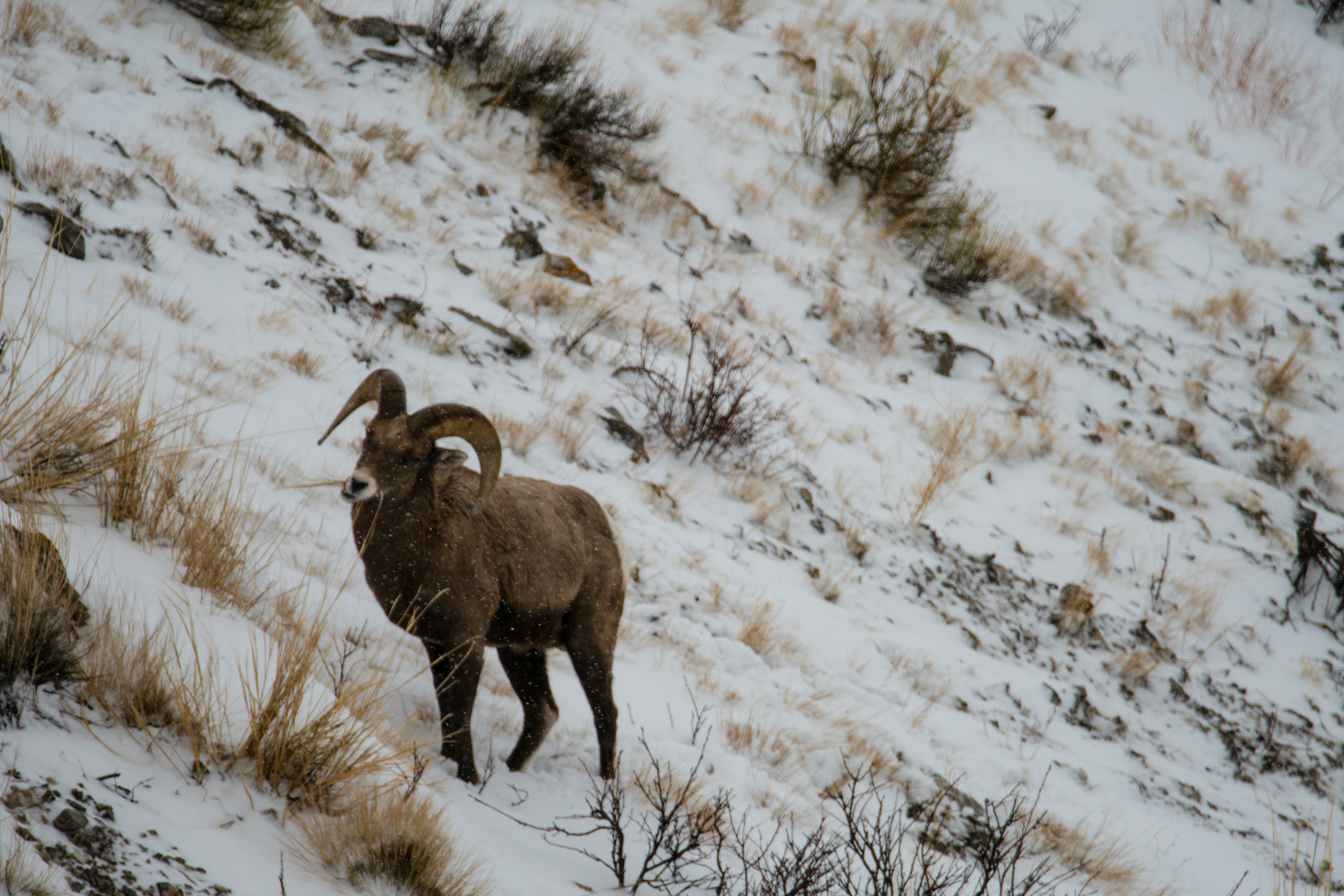 Photo by jackcharles