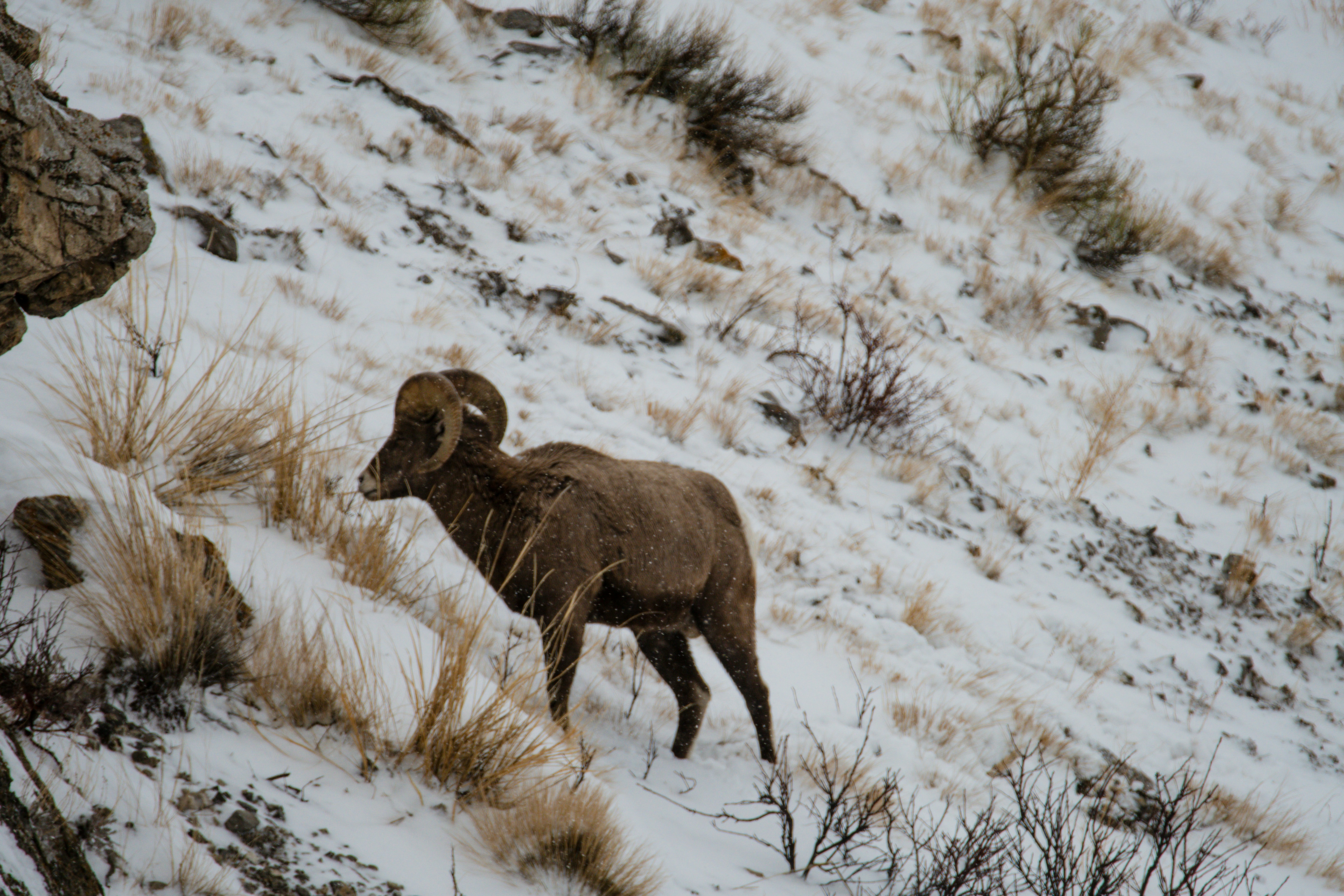 Photo by jackcharles