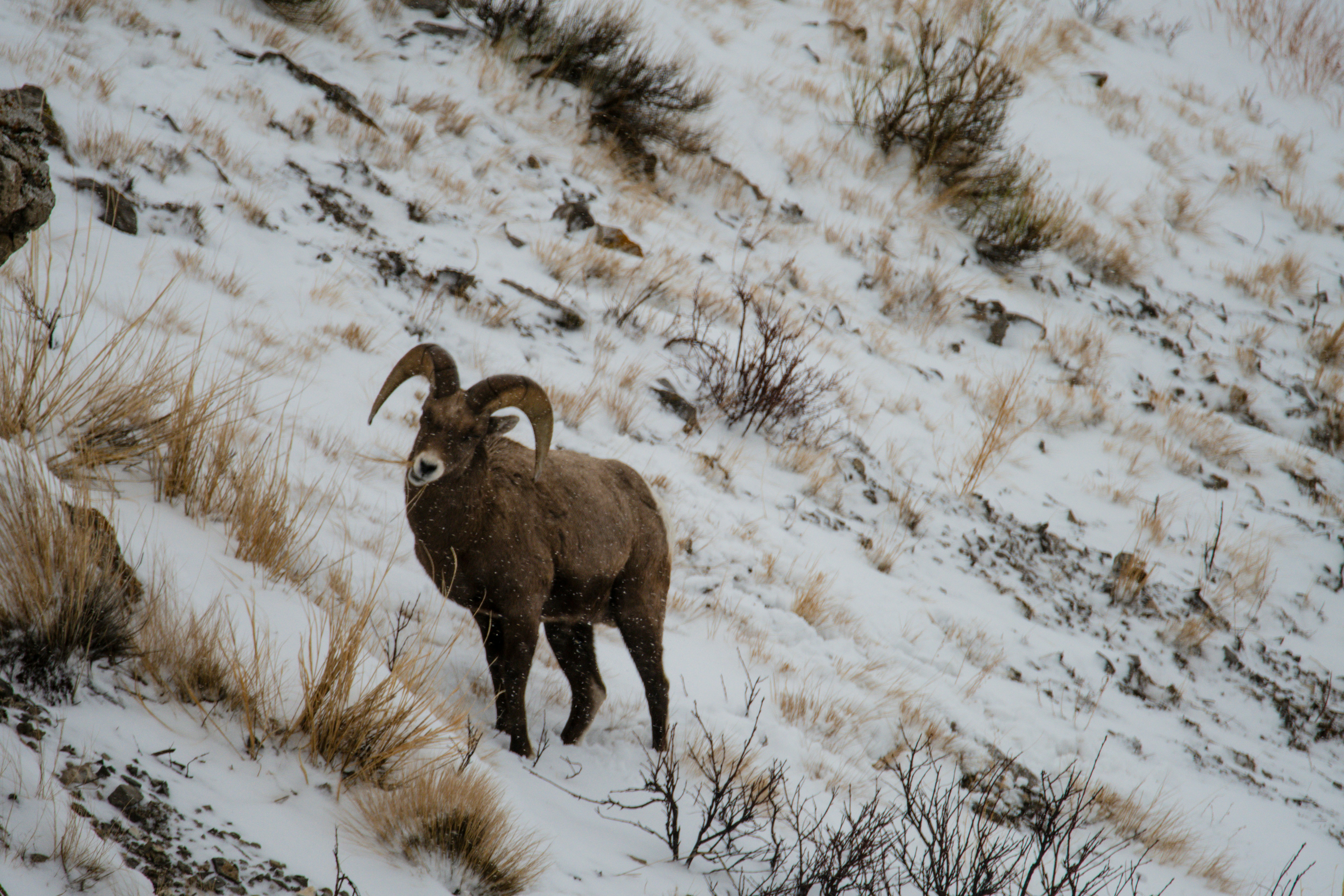 Photo by jackcharles