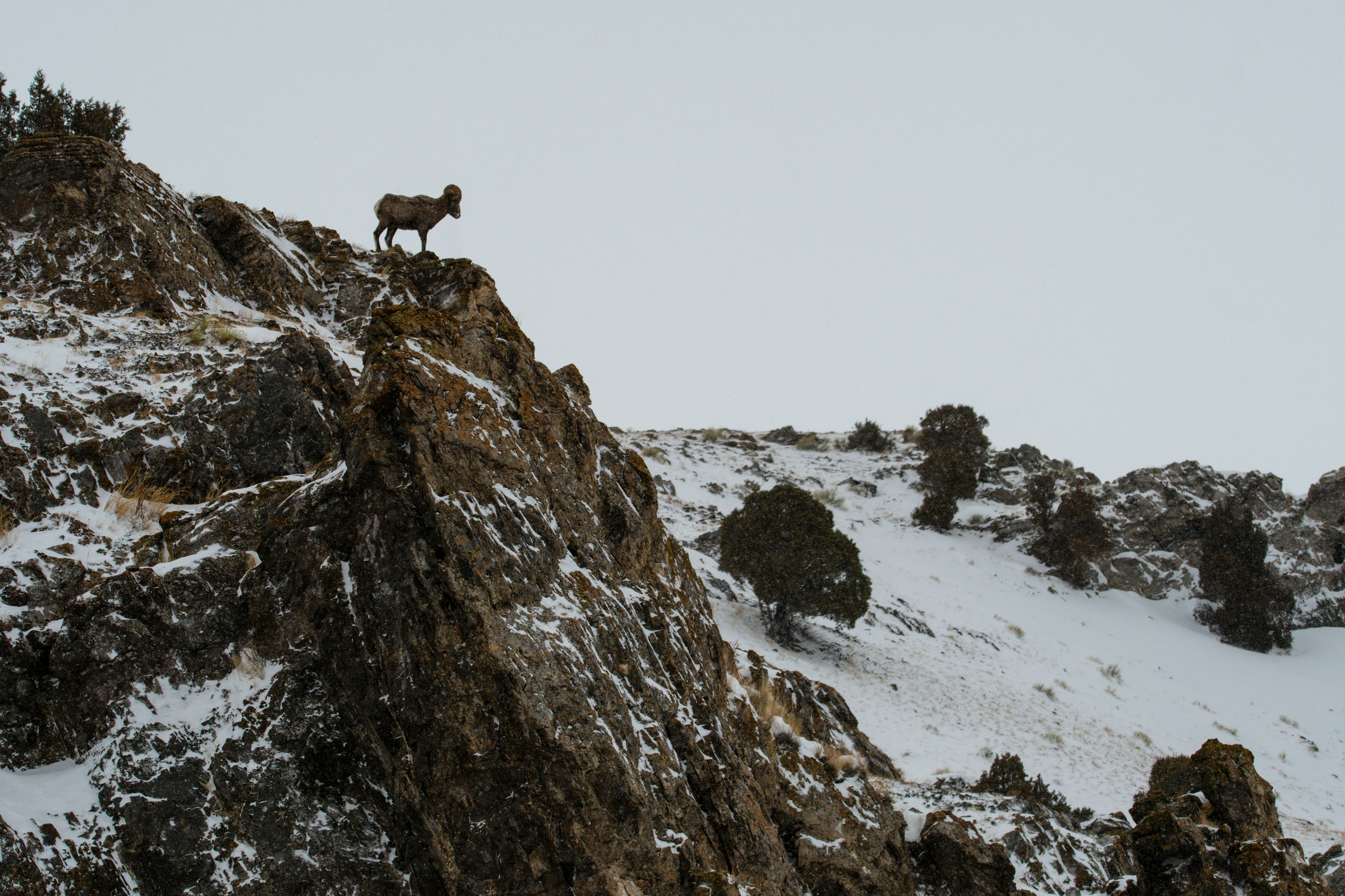 Photo by jackcharles