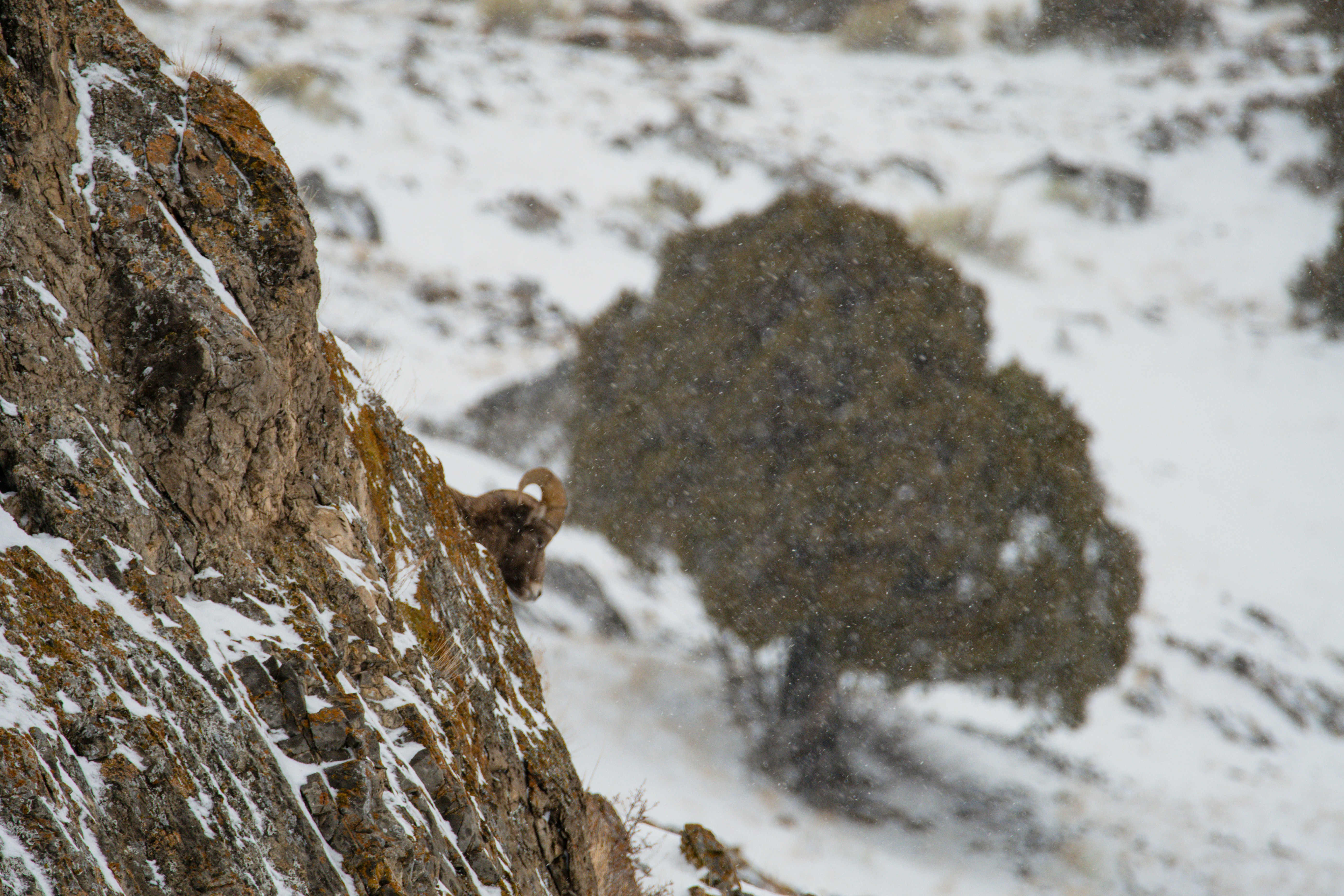 Photo by jackcharles