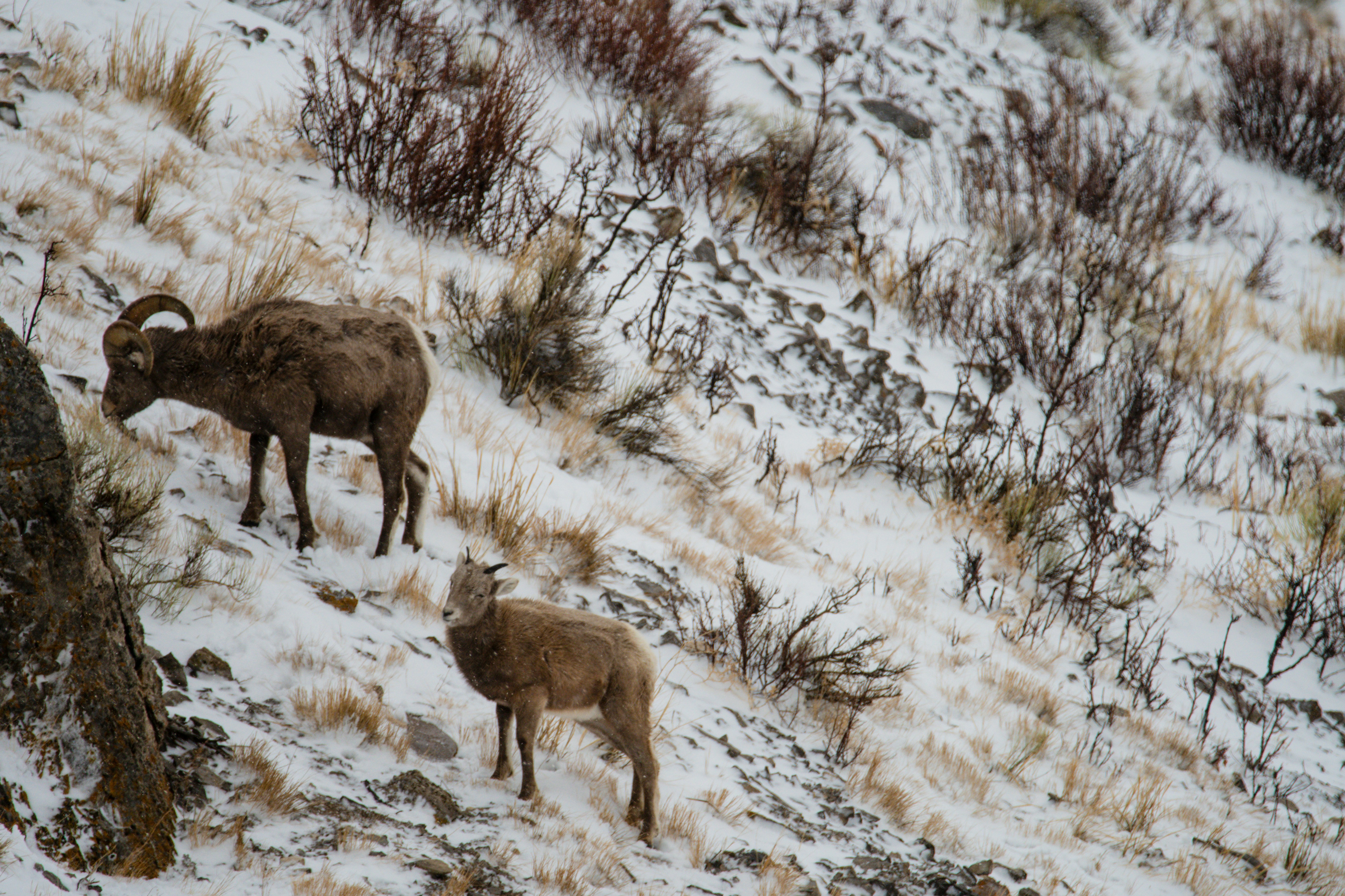 Photo by jackcharles
