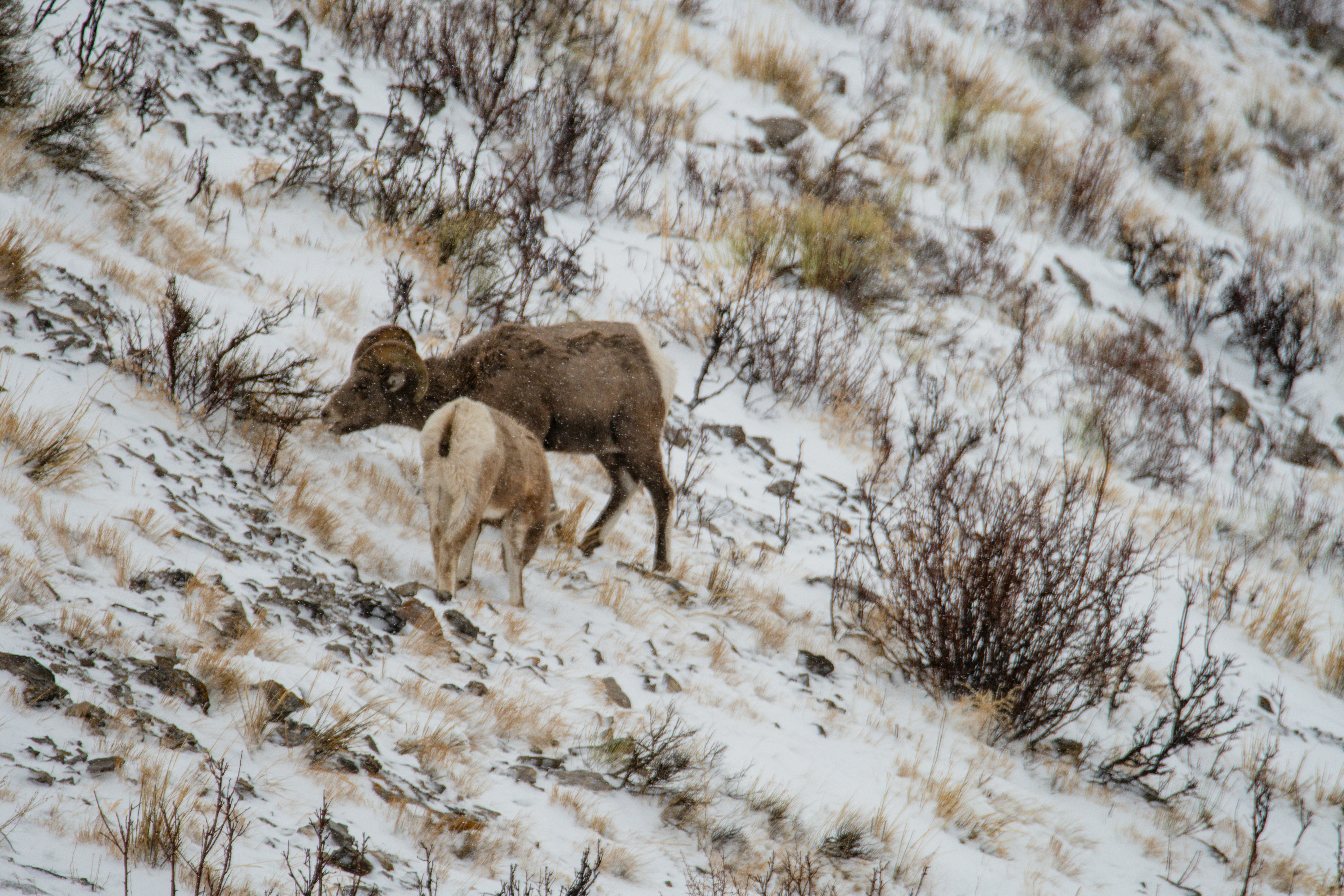 Photo by jackcharles