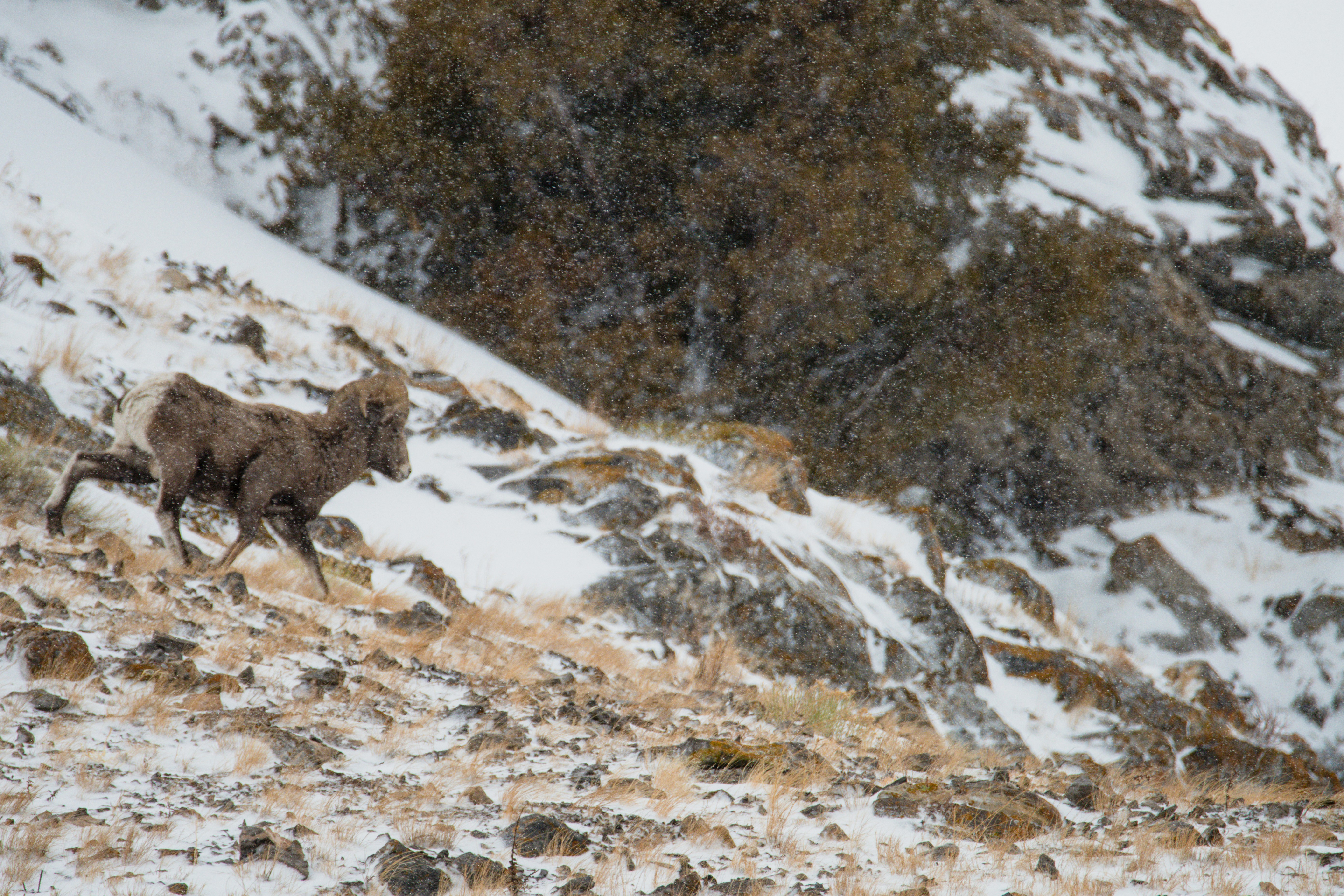 Photo by jackcharles