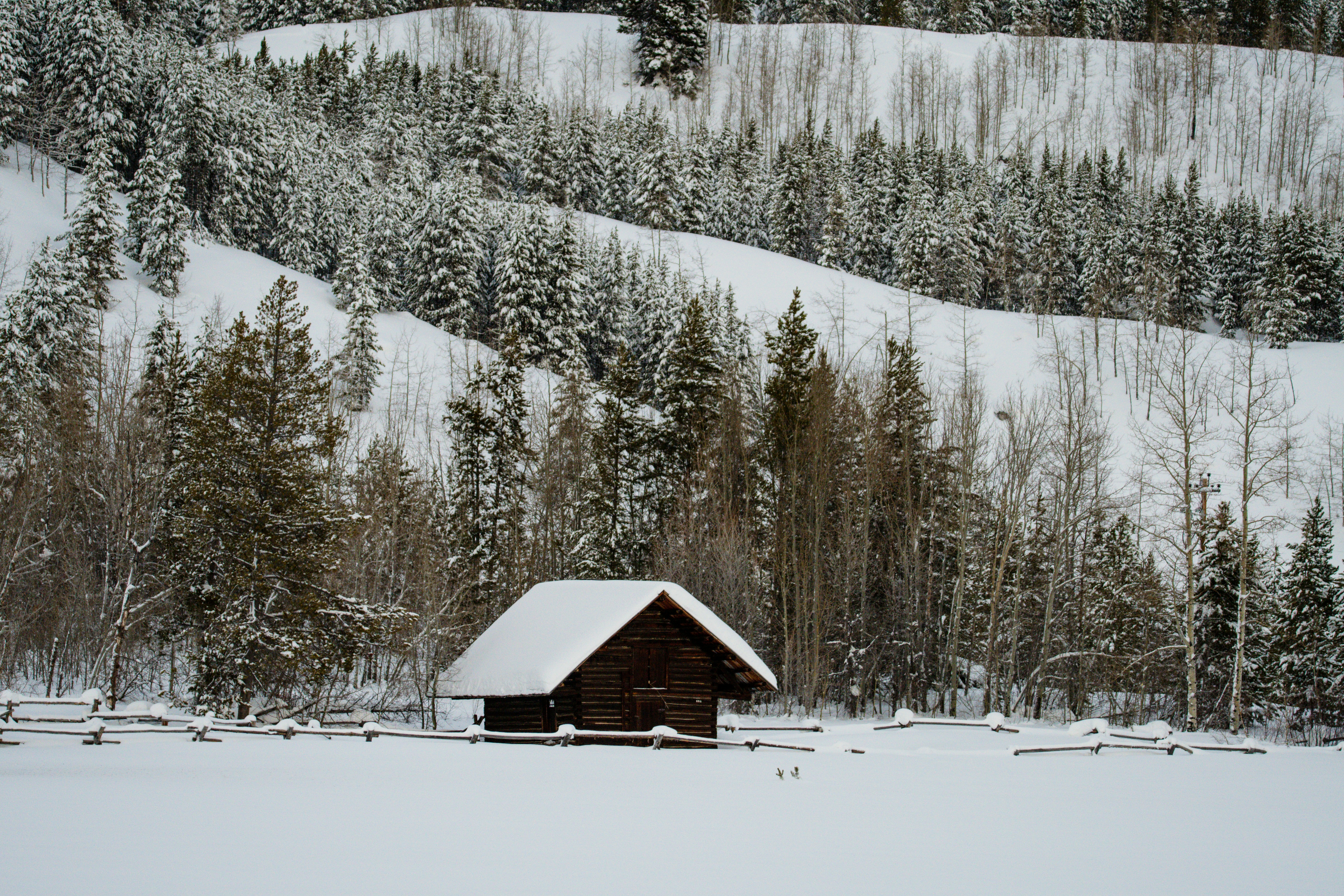 a cabin in the middle of a snowy field