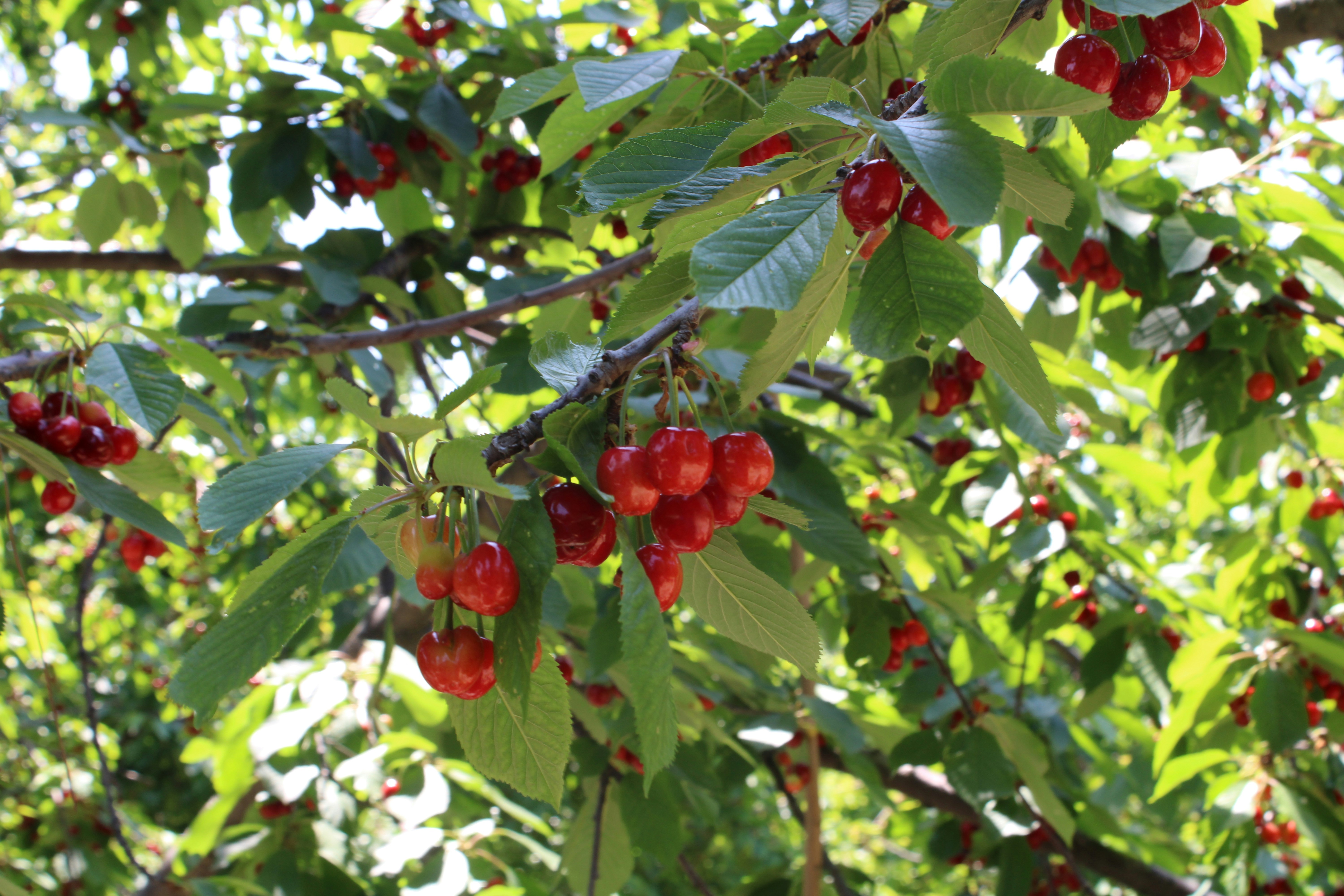 Photo by fayazbakhsh