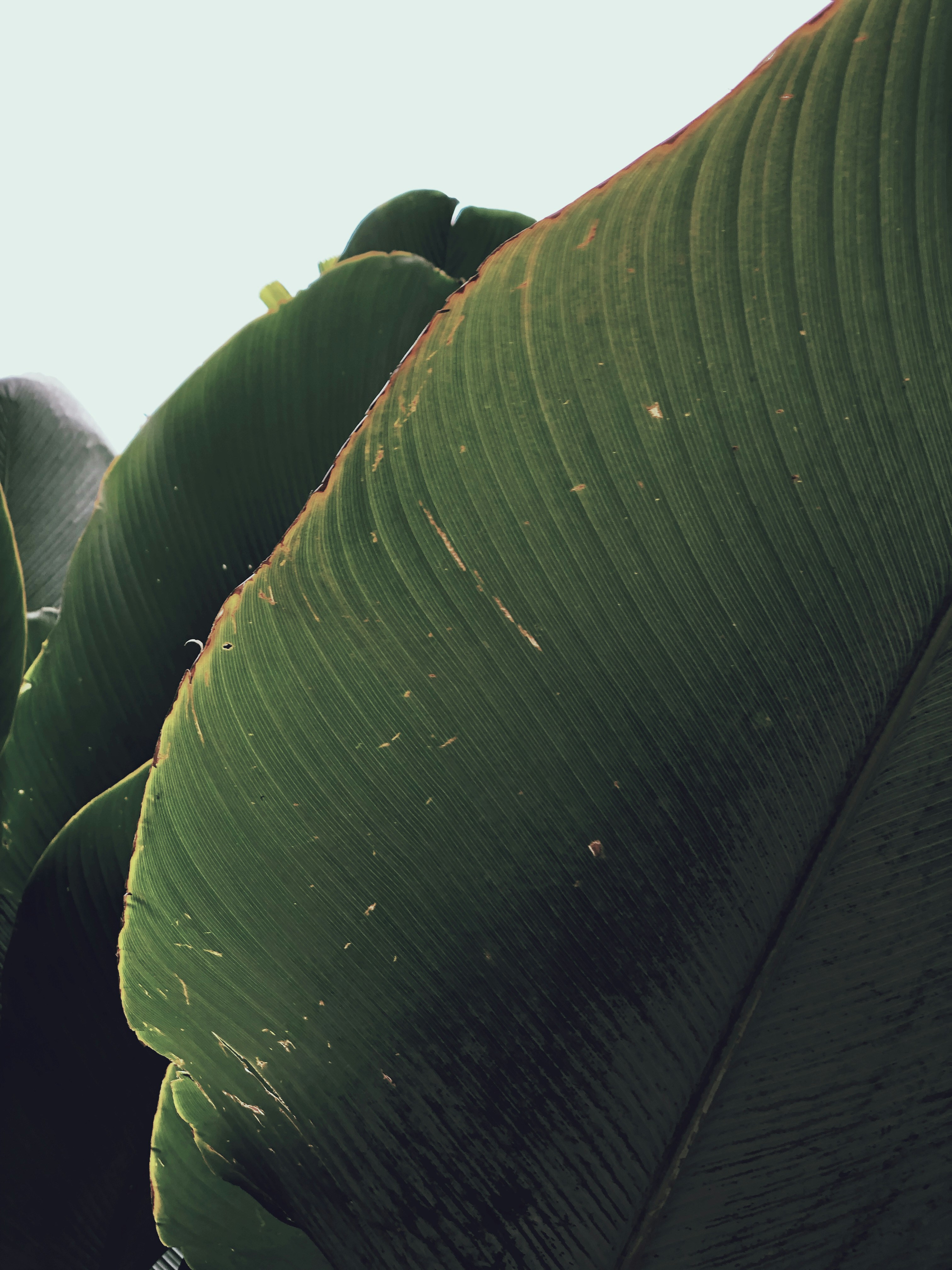 Photo by darylbydesign