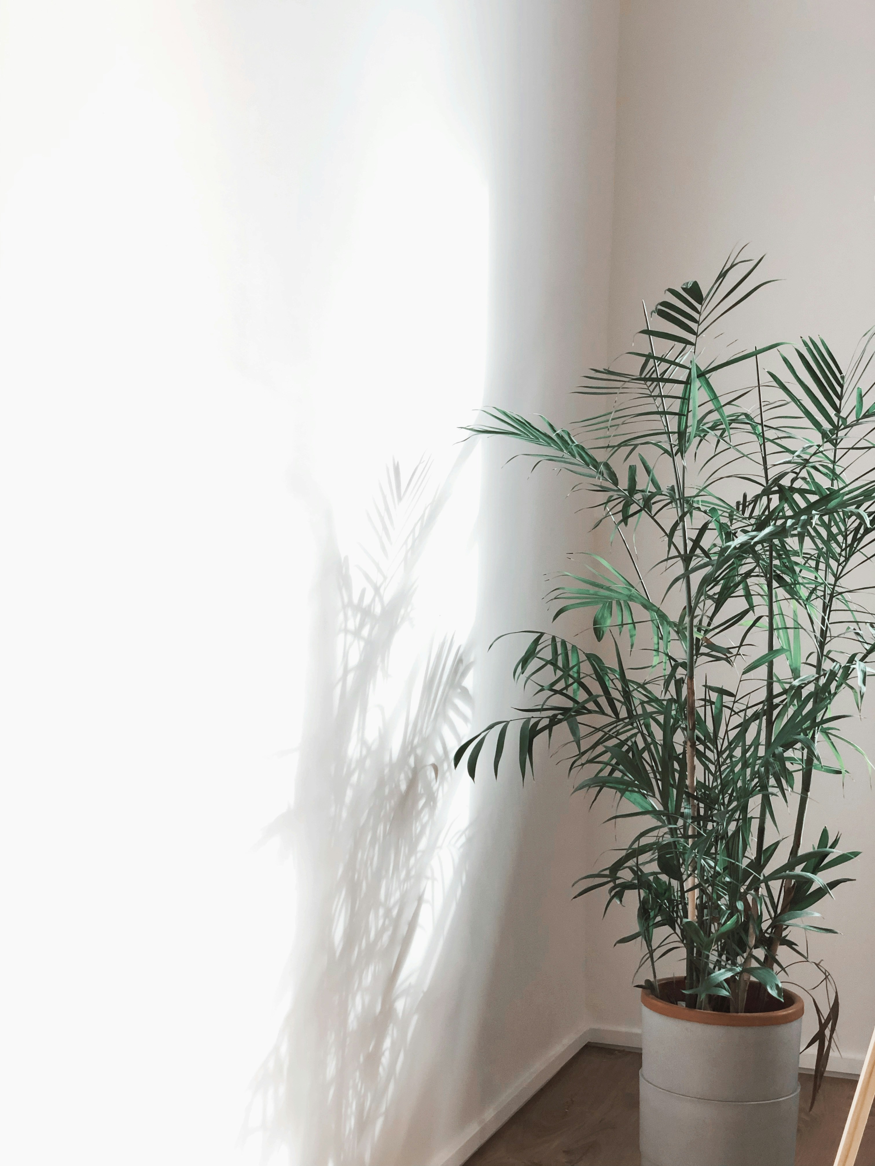 Photo by darylbydesign