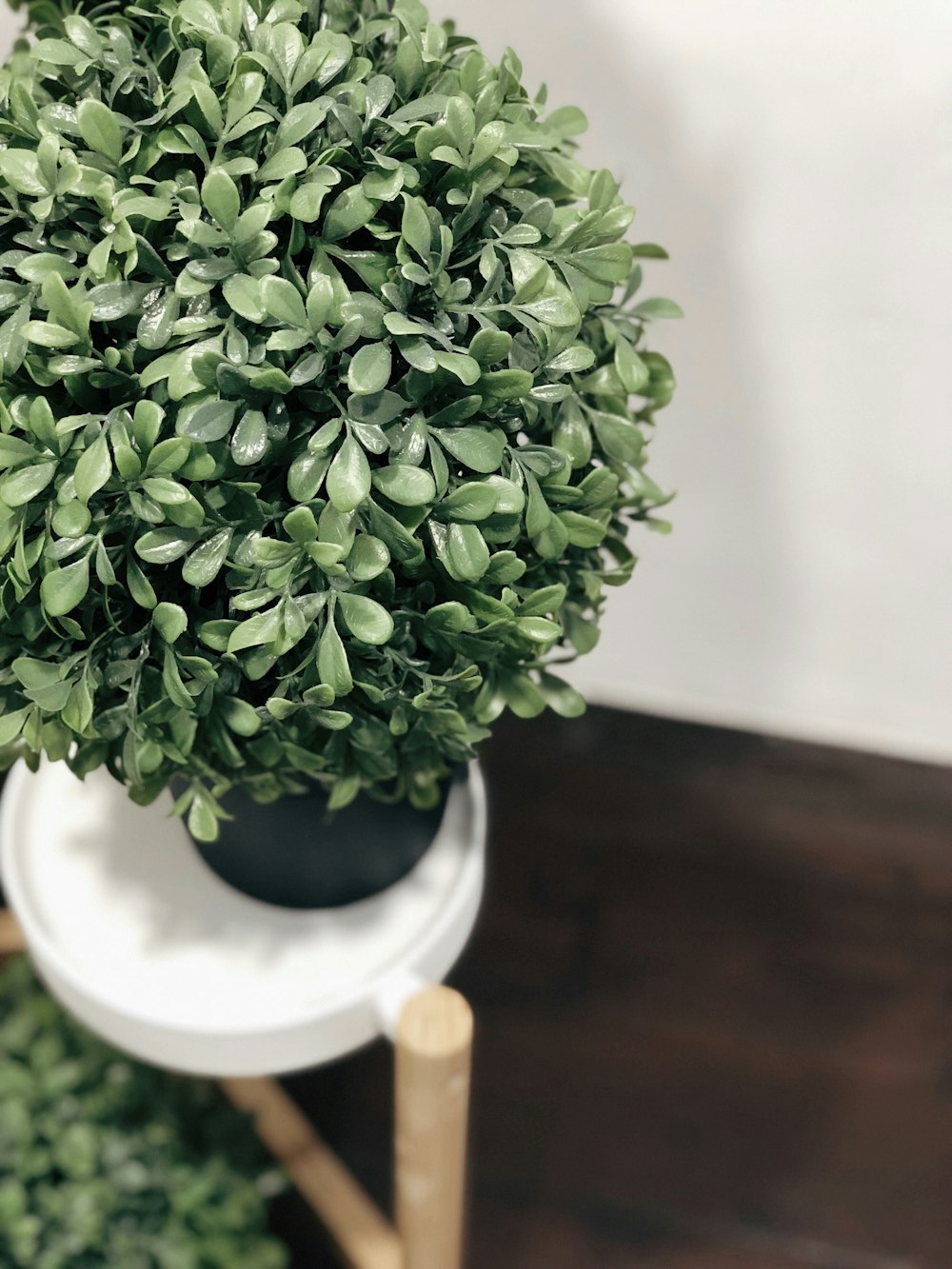 a potted plant sitting on top of a wooden stand