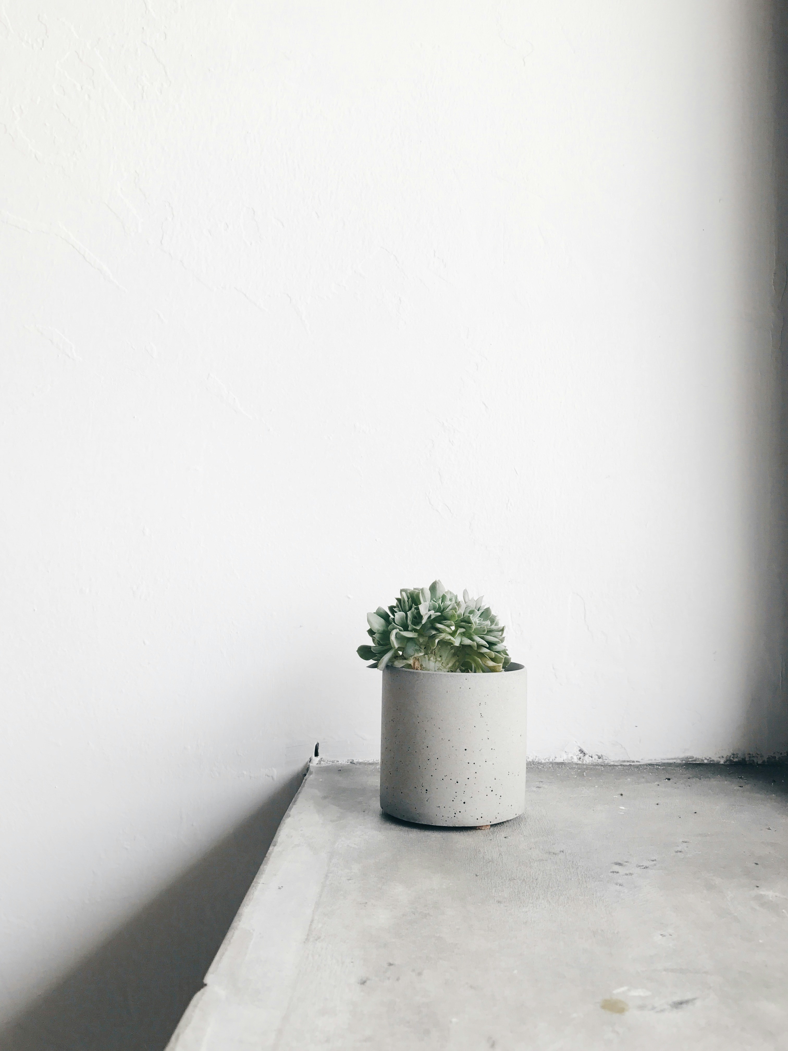 Photo by darylbydesign