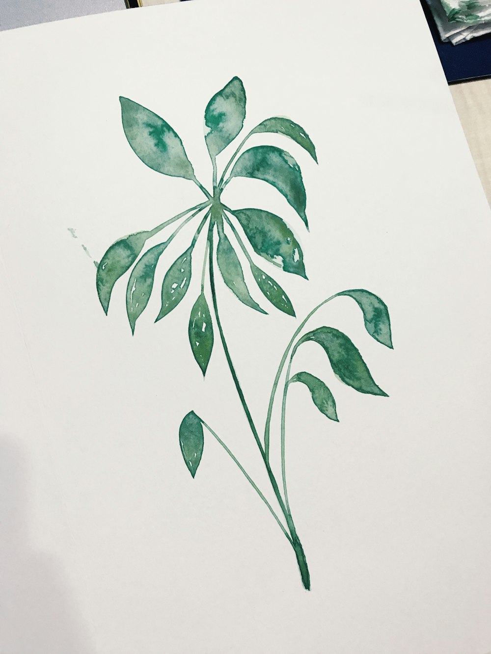 a painting of a green plant on a white paper