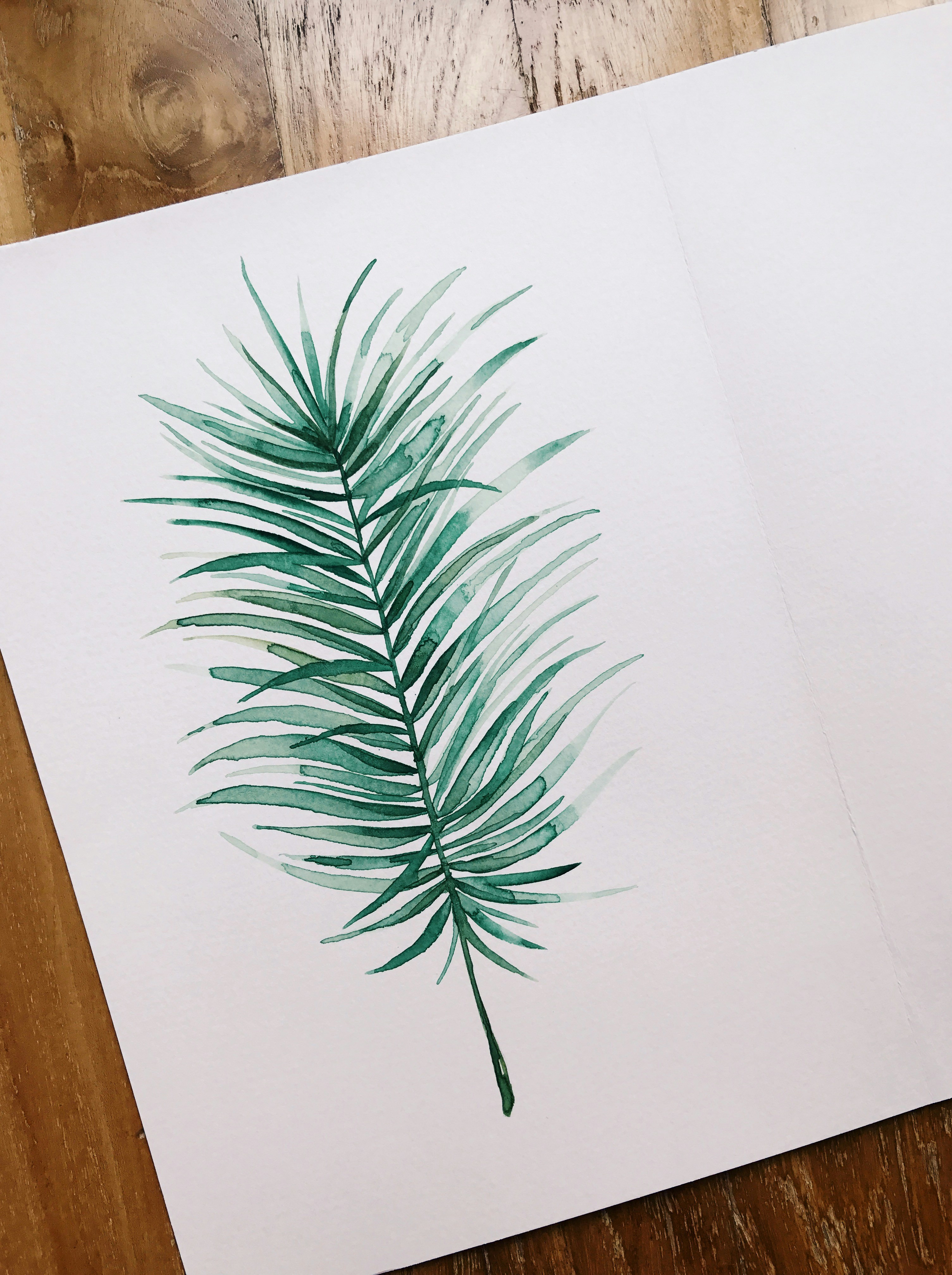 Photo by darylbydesign