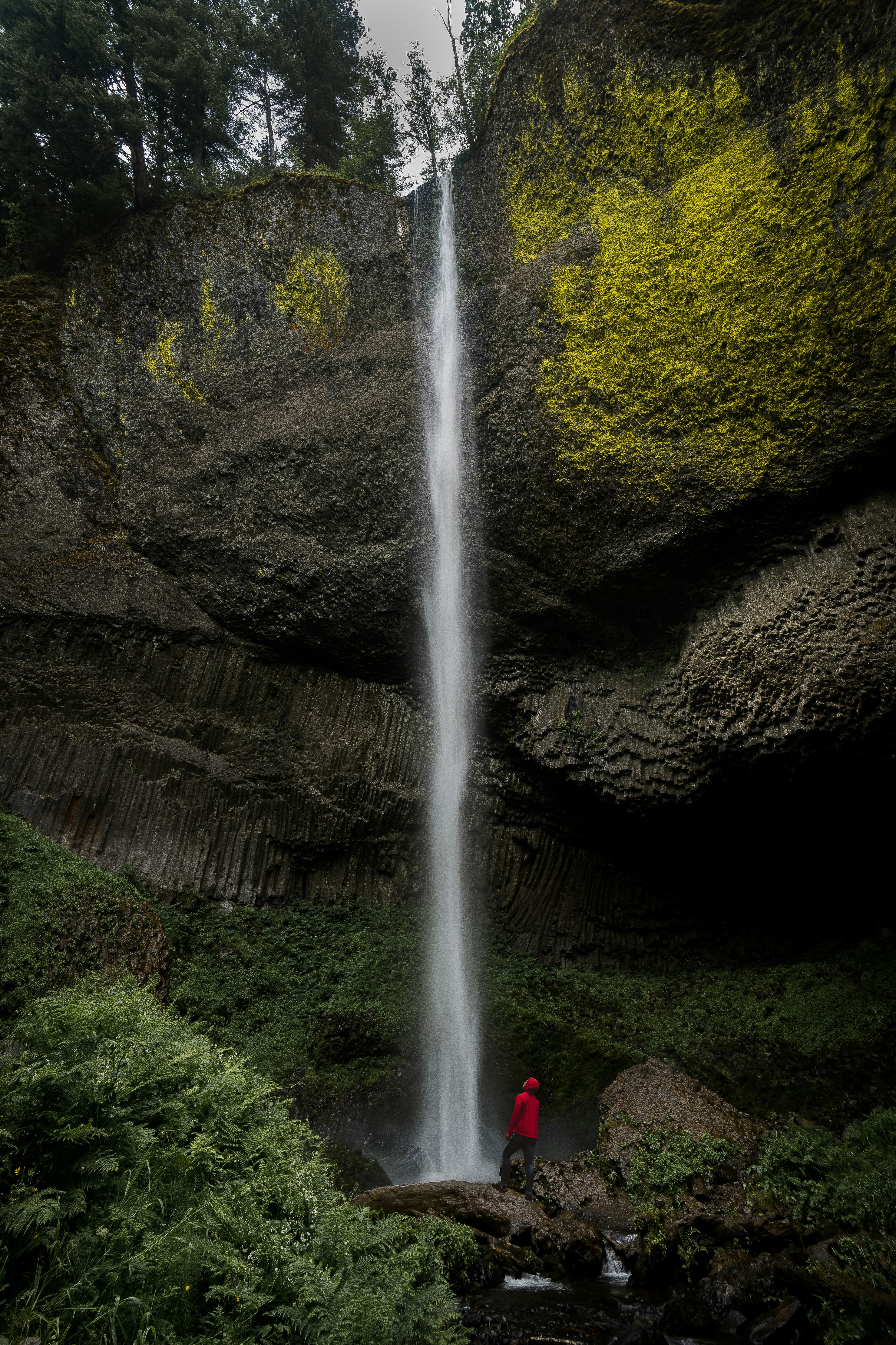 Photo by pics_by_harry